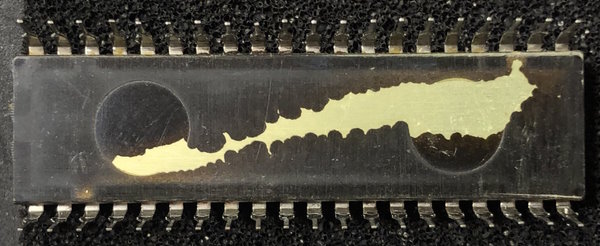 pack_btm.jpg pack_btm.jpg