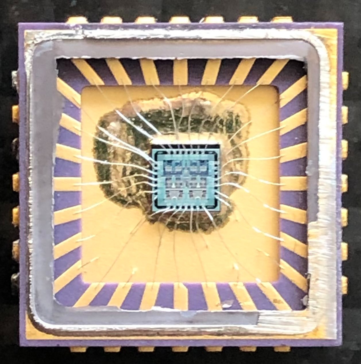 pack_top.jpeg pack_top.jpeg