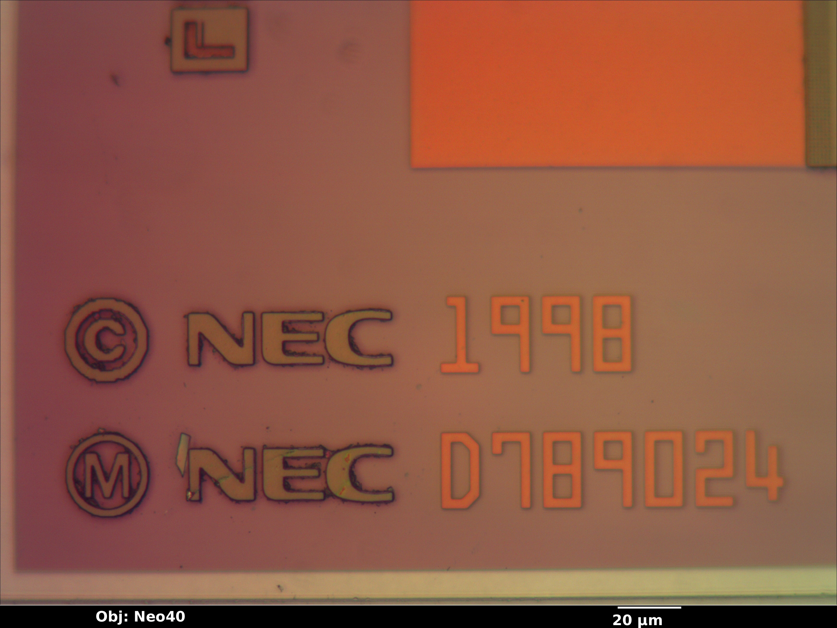 upd789024_11_bf_neo40x_annotated.jpg upd789024_11_bf_neo40x_annotated.jpg