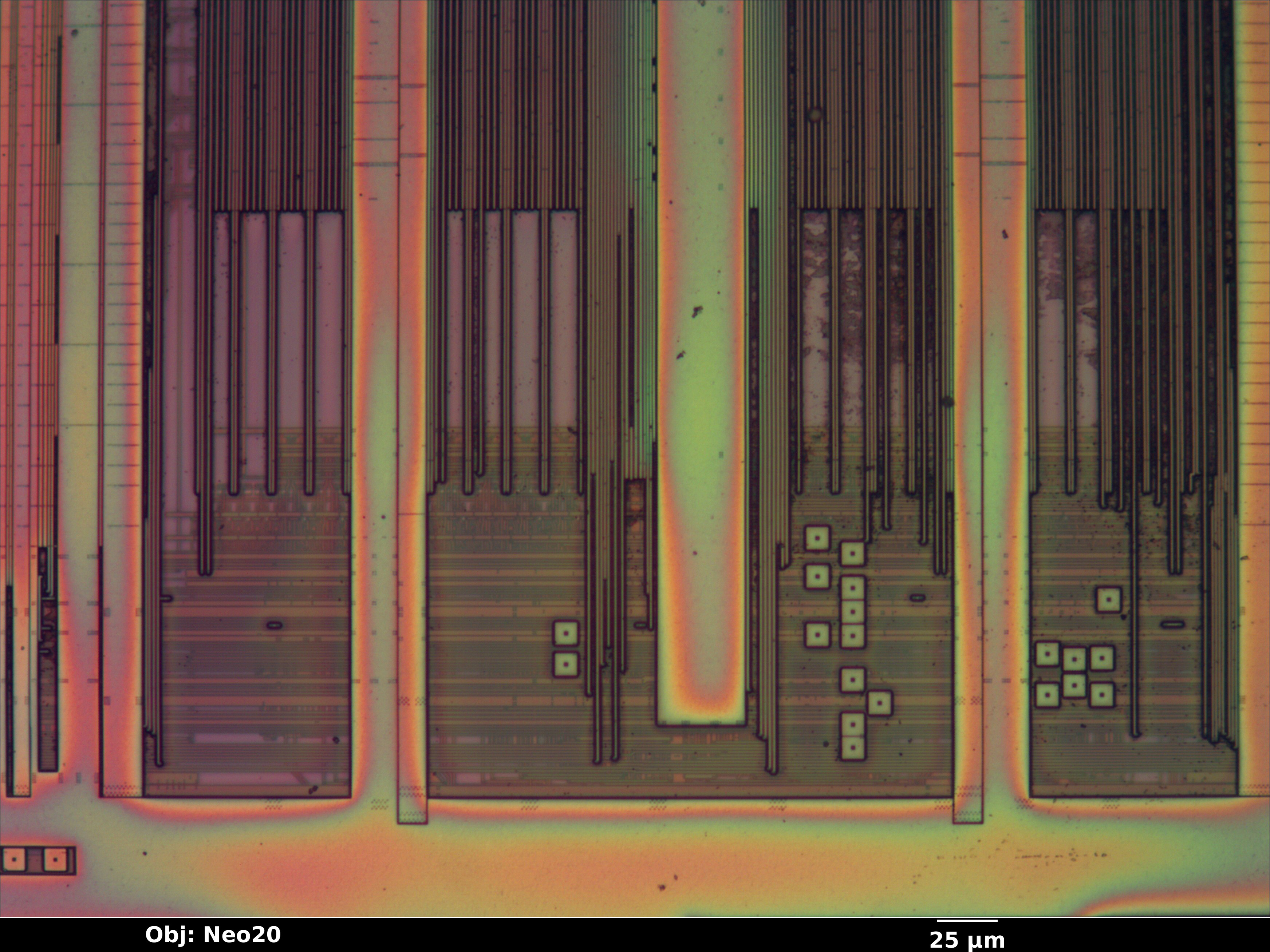 epm3064a_08_bf_neo20x_annotated.jpg epm3064a_08_bf_neo20x_annotated.jpg