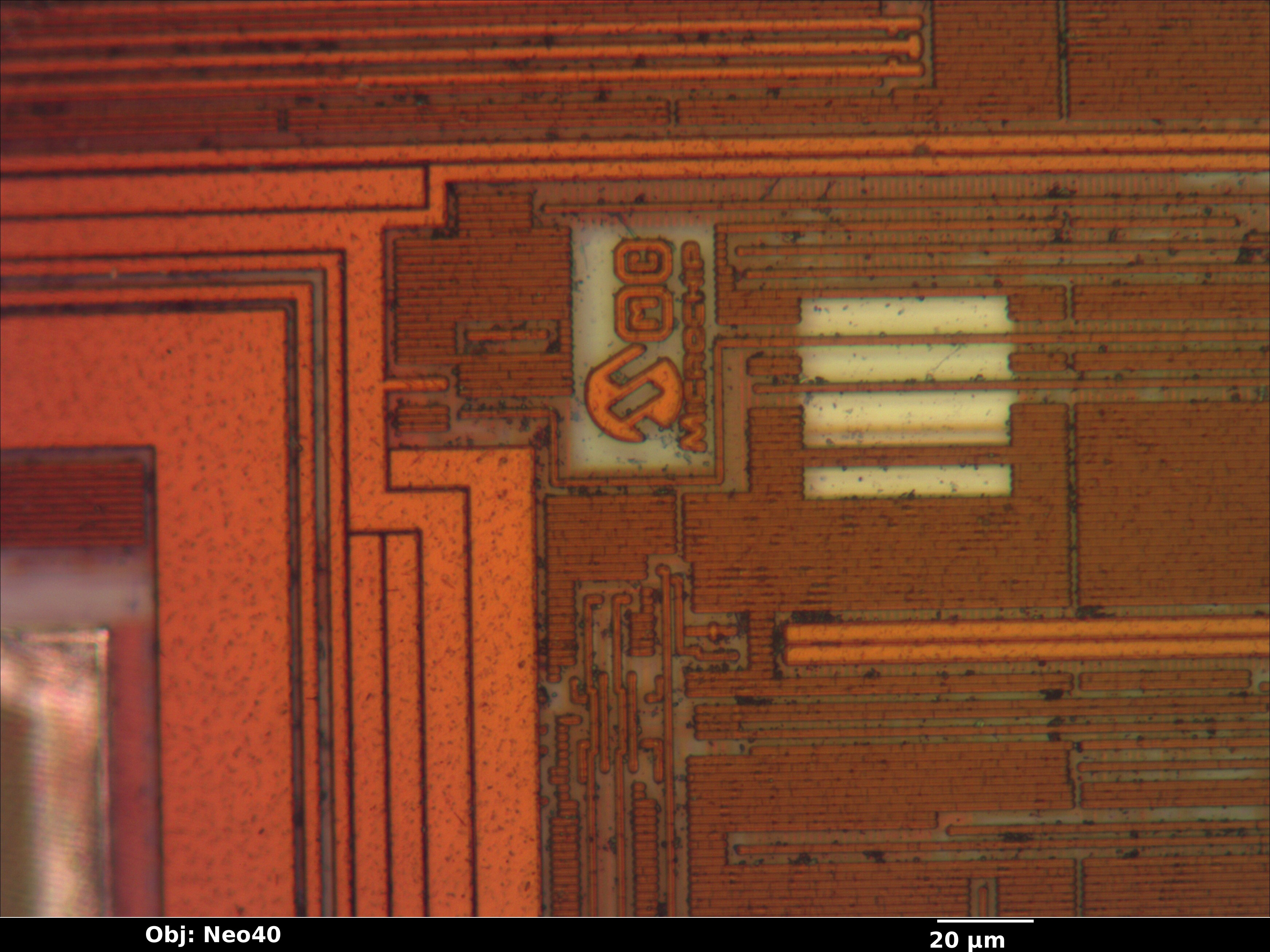 pic12f683_m3_12_bf_neo40x_annotated.jpg pic12f683_m3_12_bf_neo40x_annotated.jpg