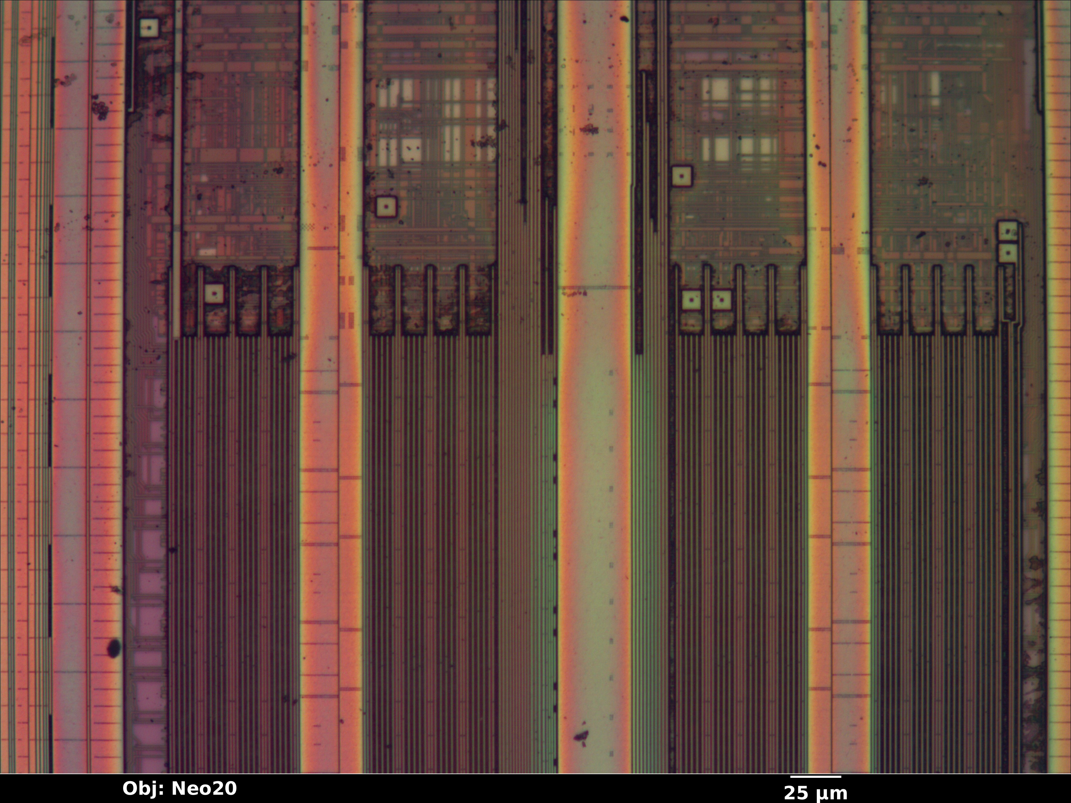epm3064a_07_bf_neo20x_annotated.jpg epm3064a_07_bf_neo20x_annotated.jpg