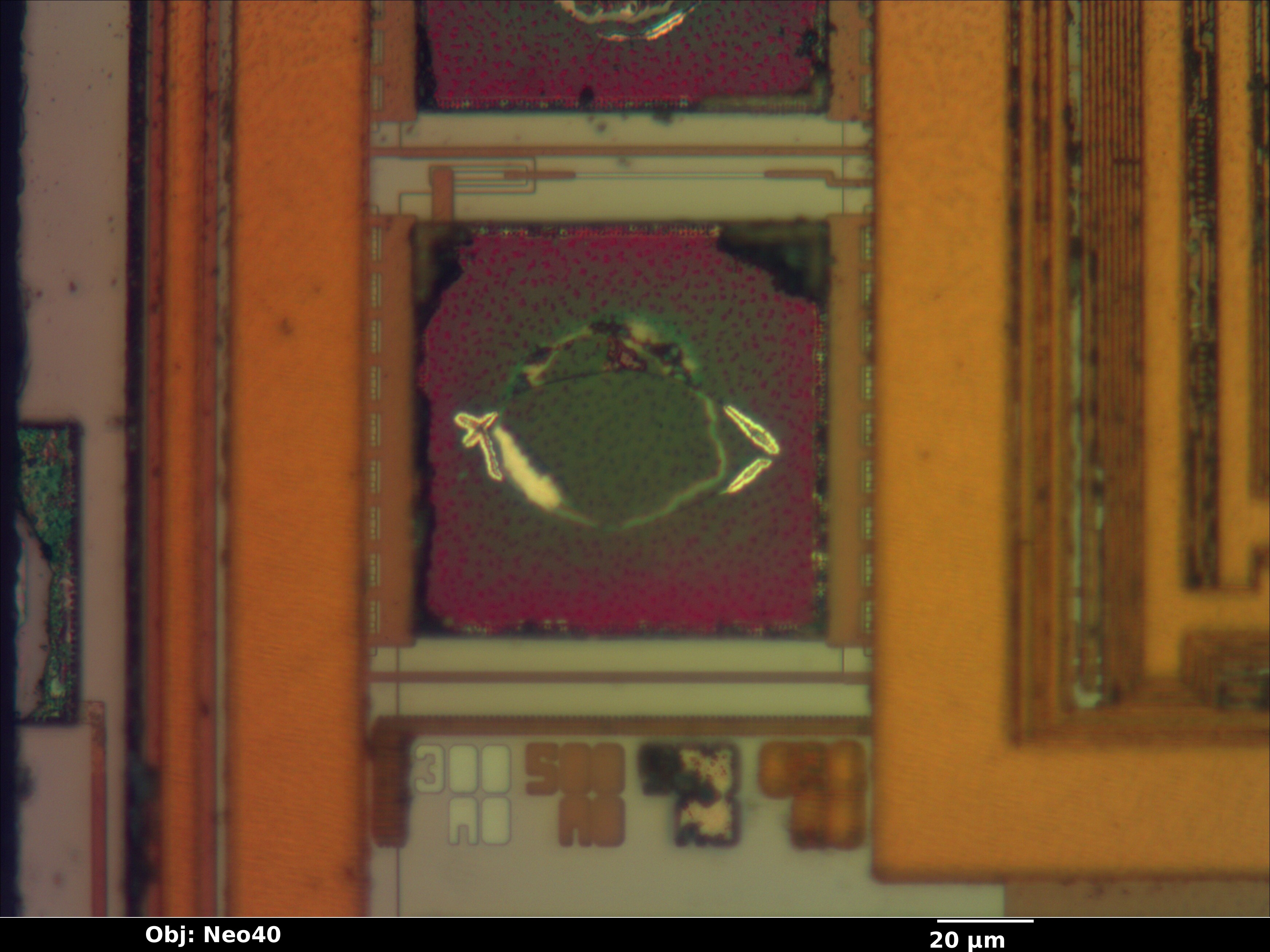 pic16f59_08_bf_neo40x_annotated.jpg pic16f59_08_bf_neo40x_annotated.jpg