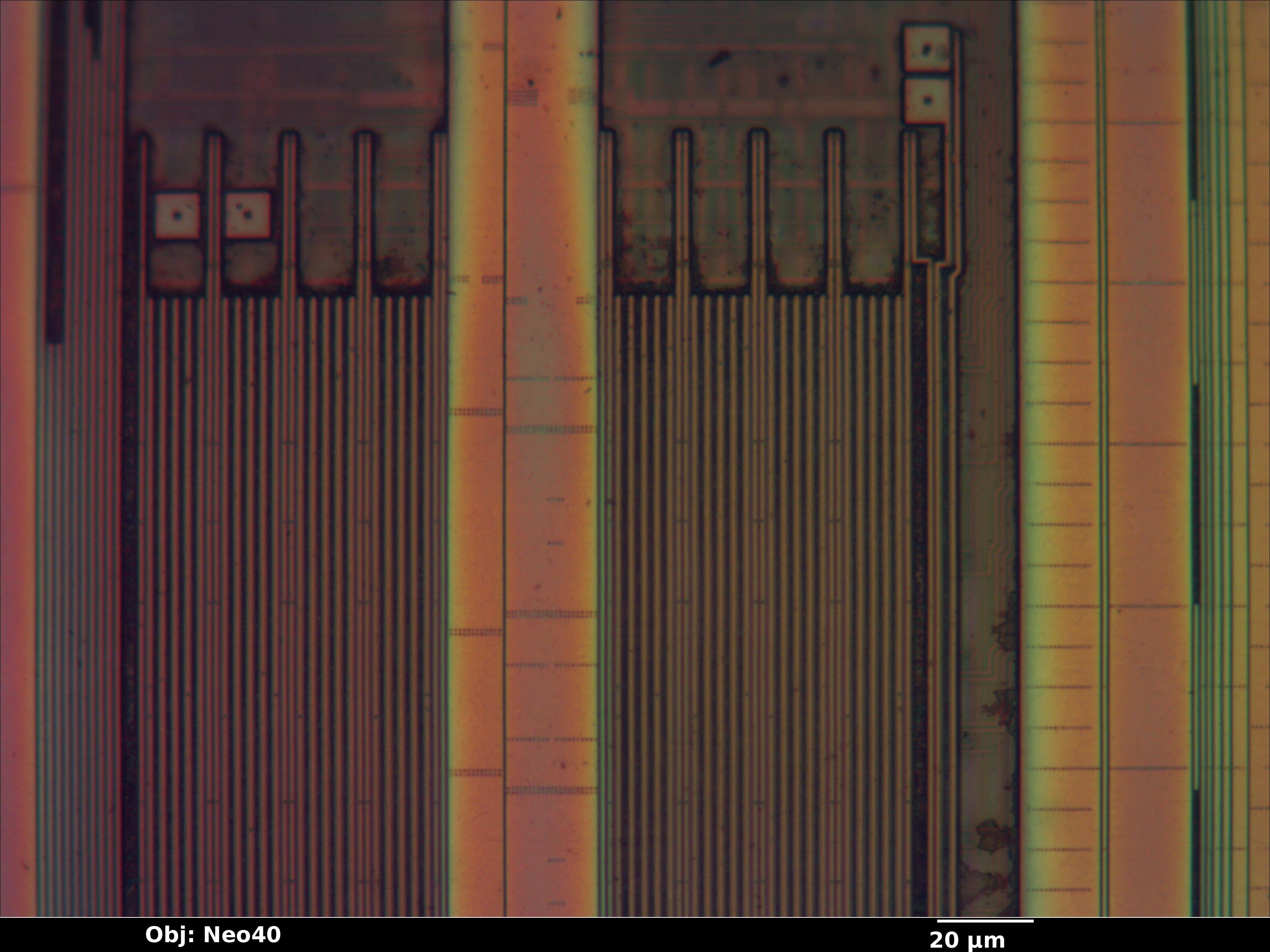 epm3064a_10_bf_neo40x_annotated.jpg epm3064a_10_bf_neo40x_annotated.jpg