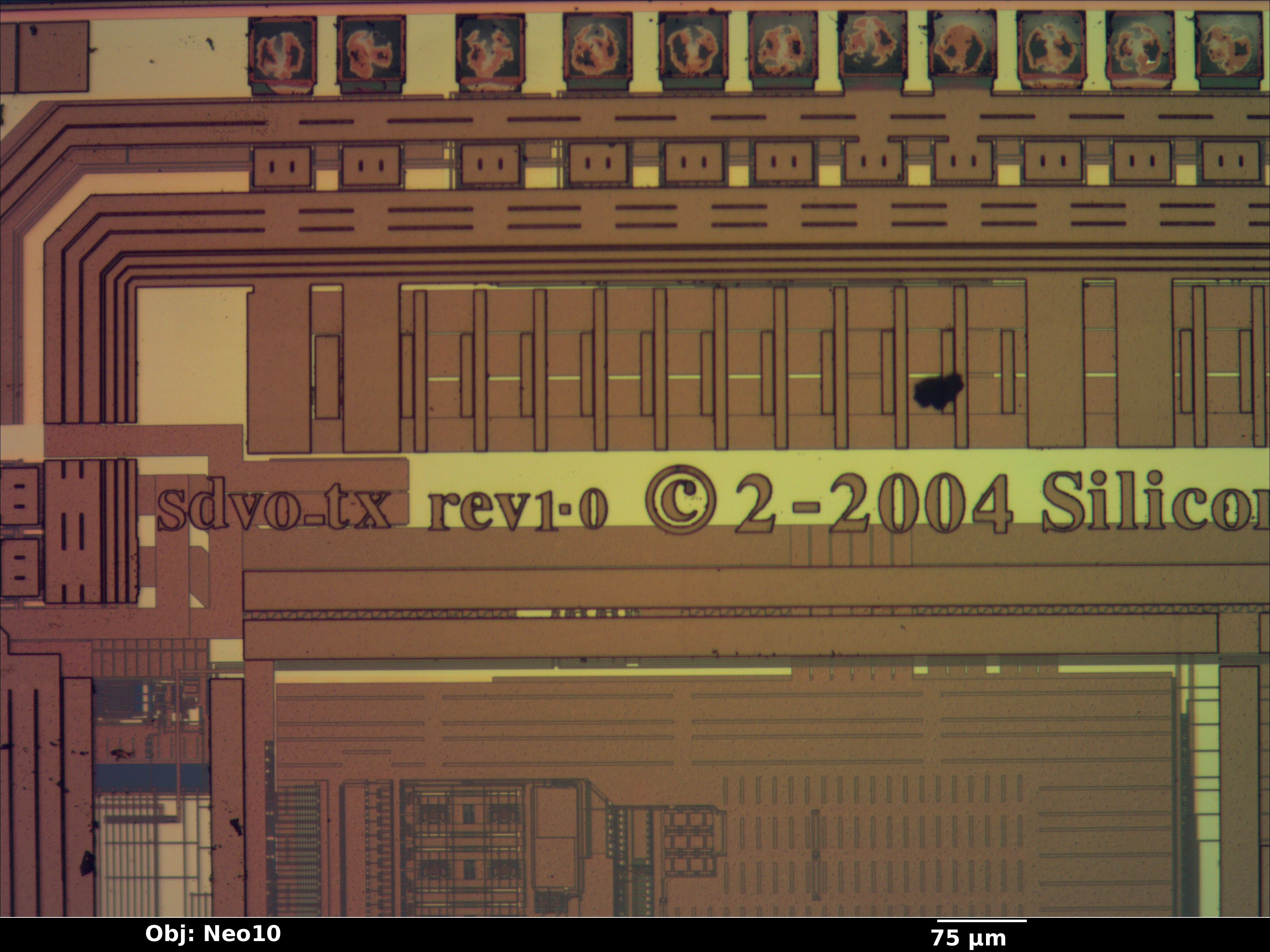 sii1364_07_bf_neo10x_annotated.jpg sii1364_07_bf_neo10x_annotated.jpg