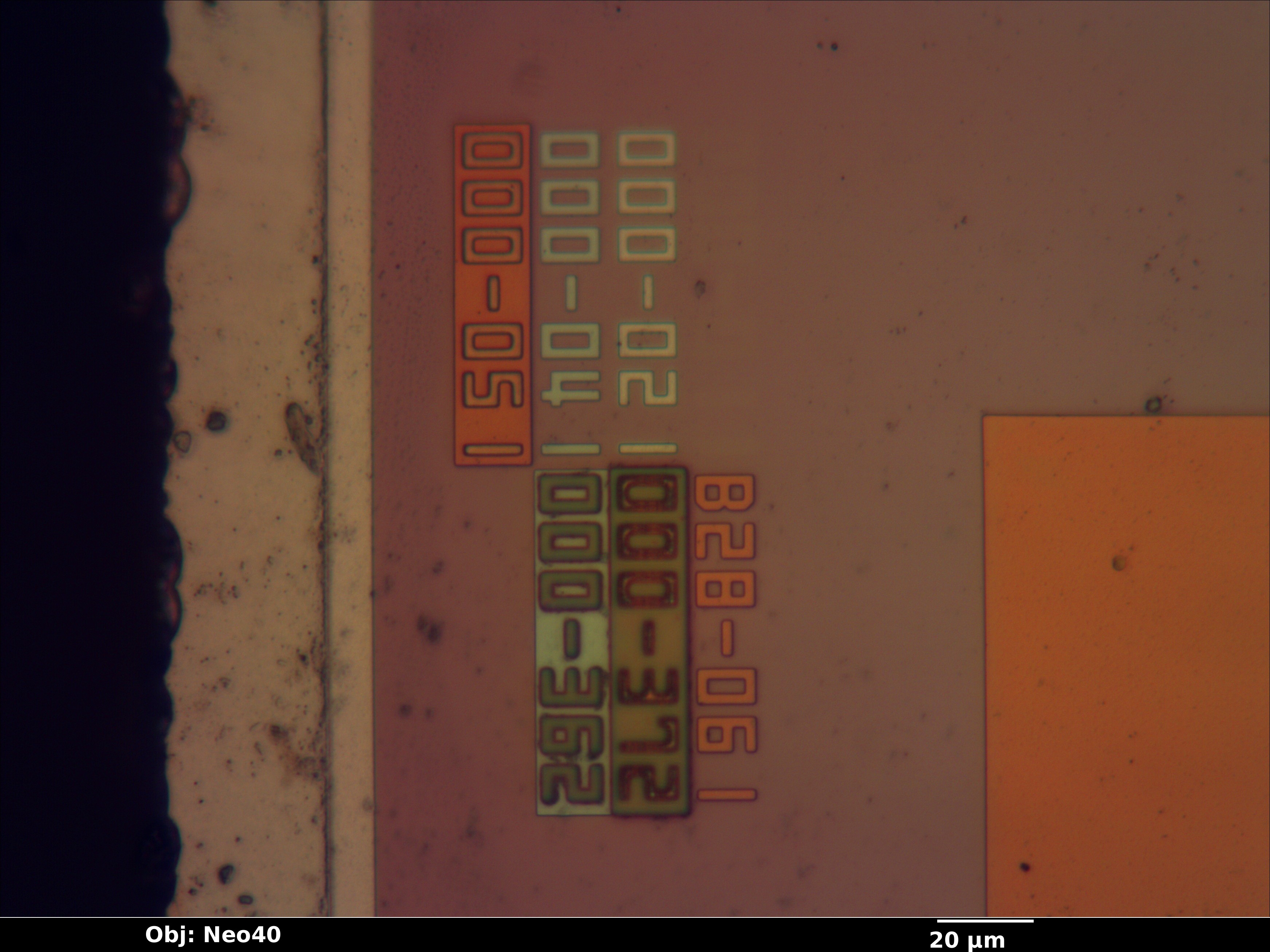 upd789024_12_bf_neo40x_annotated.jpg upd789024_12_bf_neo40x_annotated.jpg