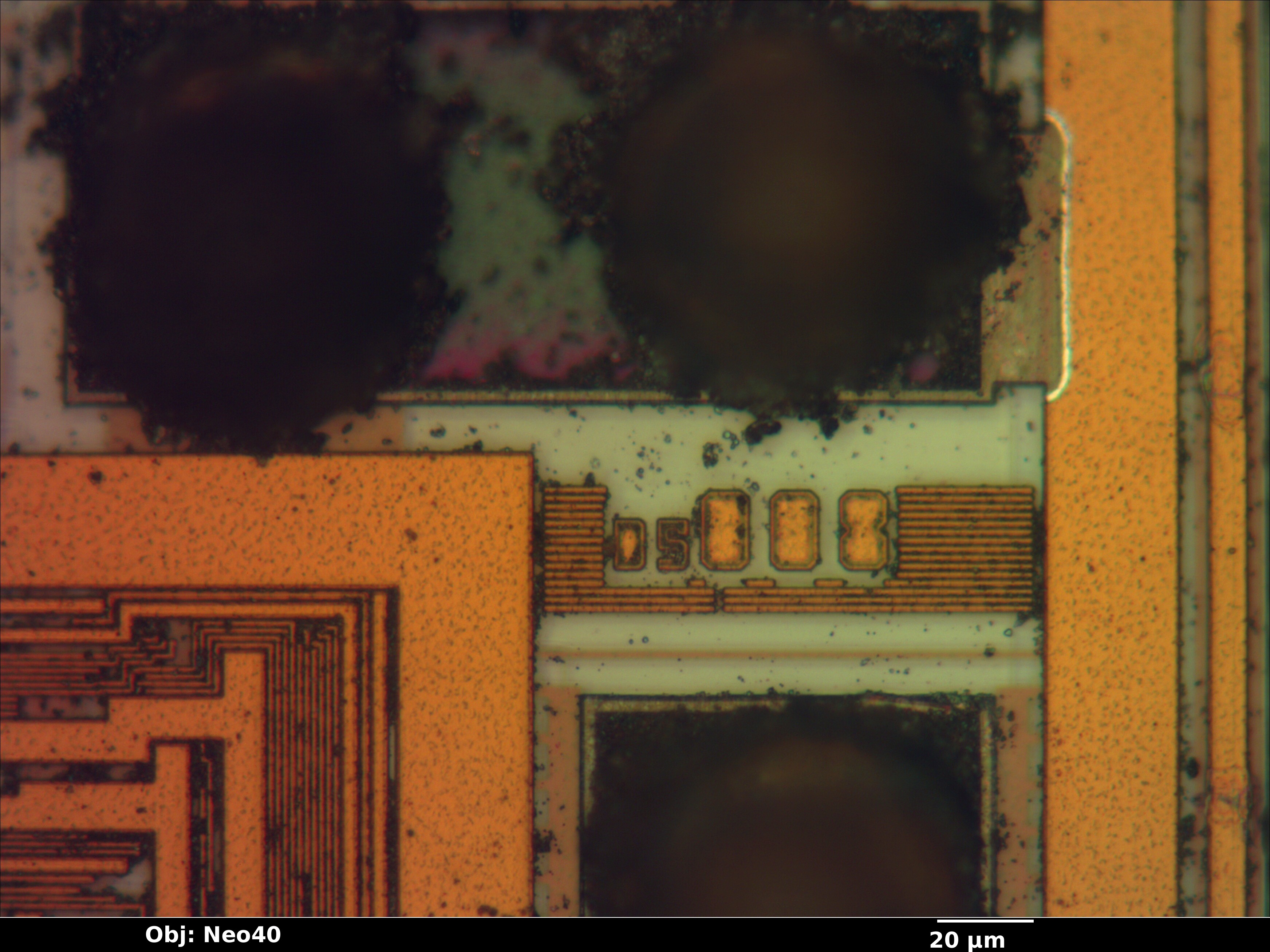 pic16f59_06_bf_neo40x_annotated.jpg pic16f59_06_bf_neo40x_annotated.jpg