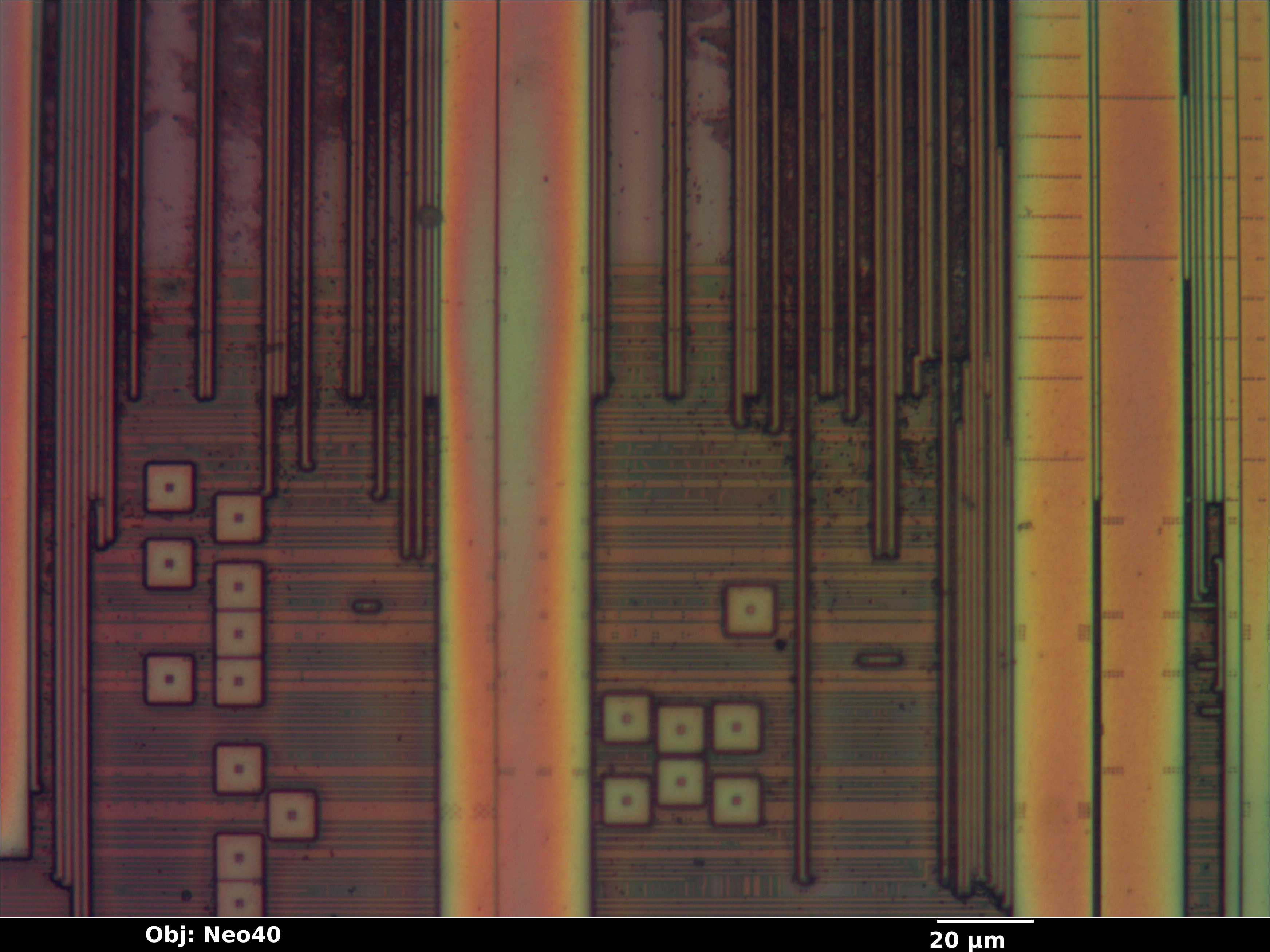 epm3064a_11_bf_neo40x_annotated.jpg epm3064a_11_bf_neo40x_annotated.jpg