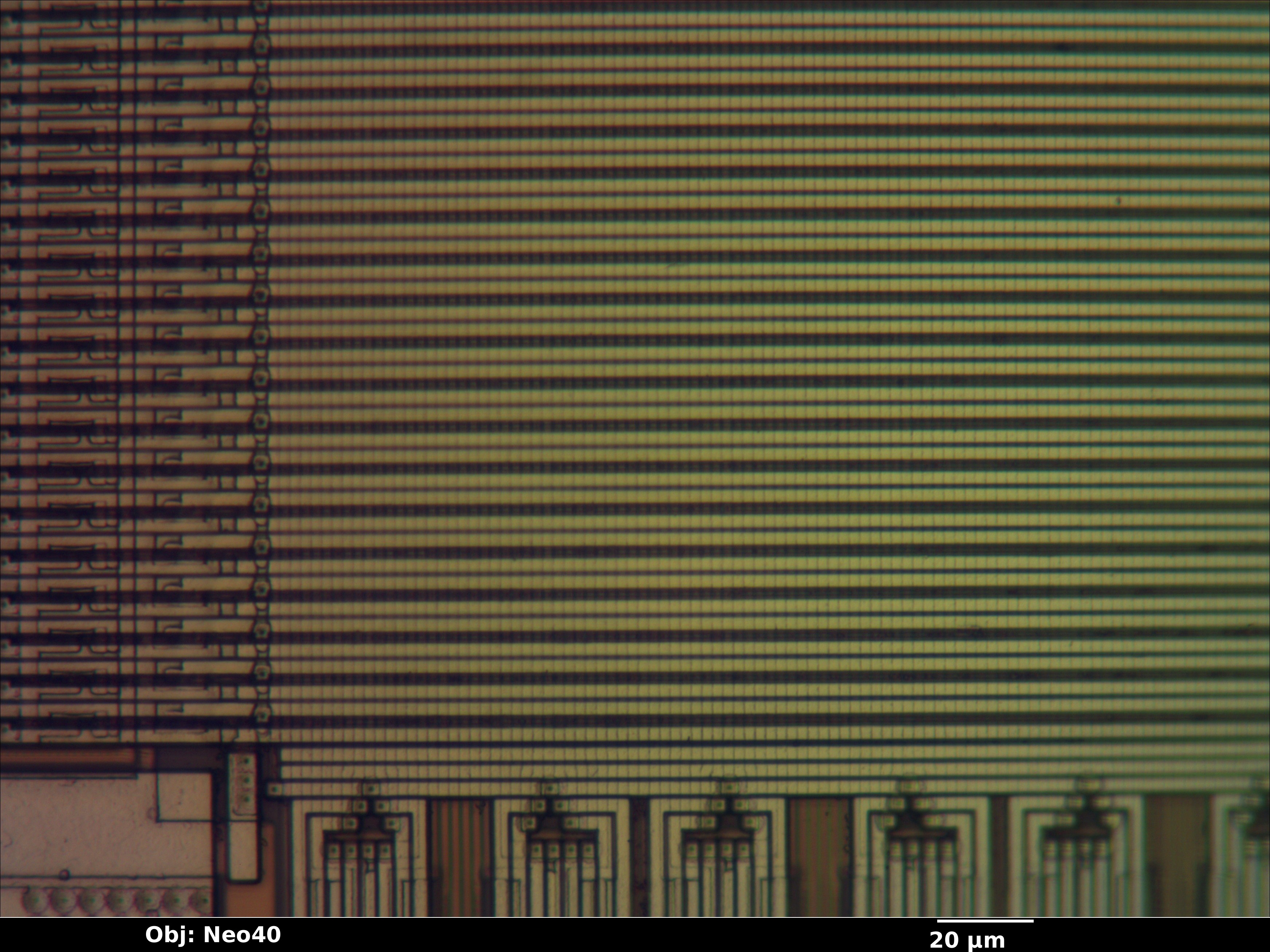 at29c010a_15_bf_neo40x_annotated.jpg at29c010a_15_bf_neo40x_annotated.jpg