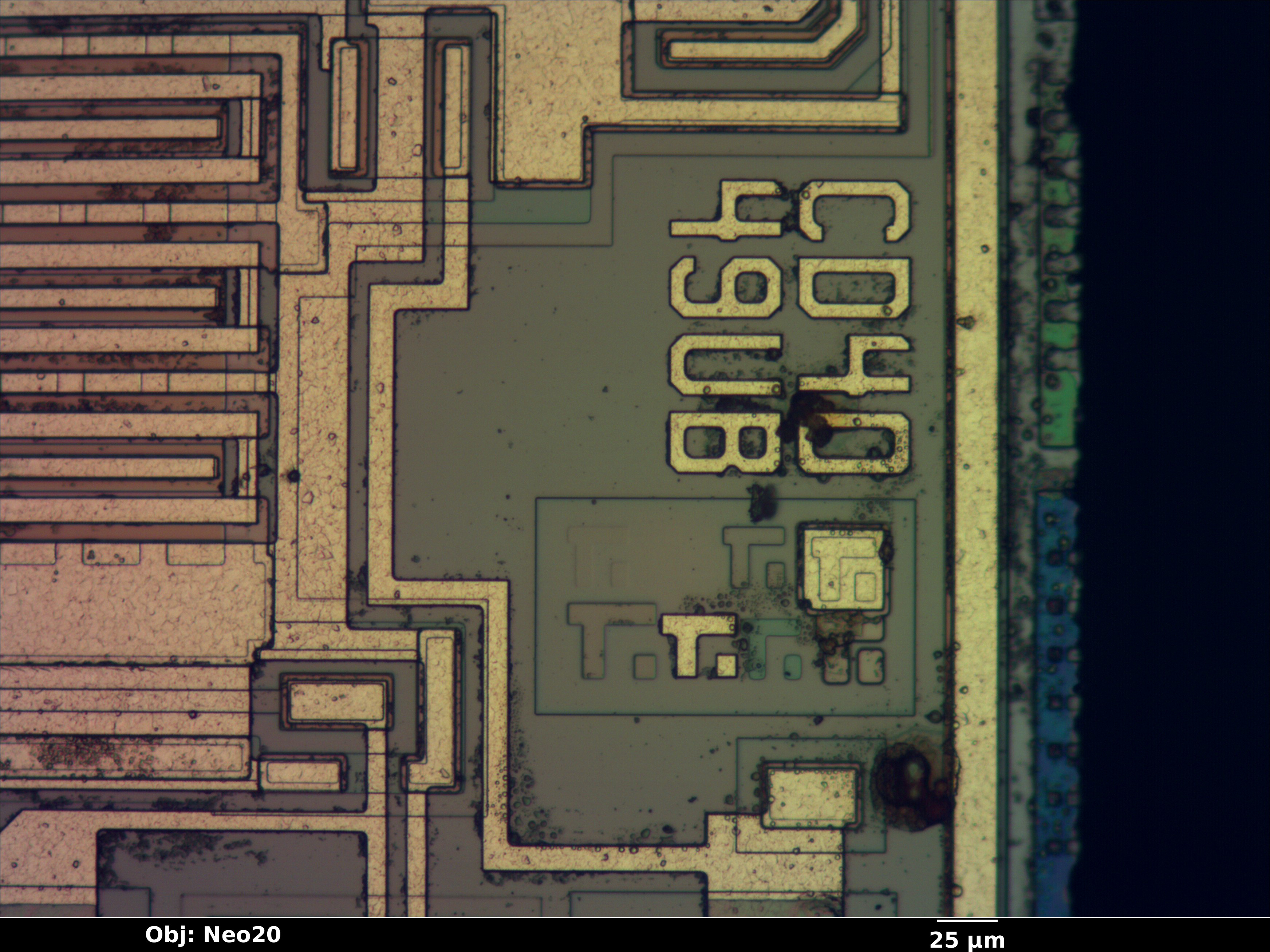ti_cd4049_02_bf_neo20x_anotated.jpg ti_cd4049_02_bf_neo20x_anotated.jpg