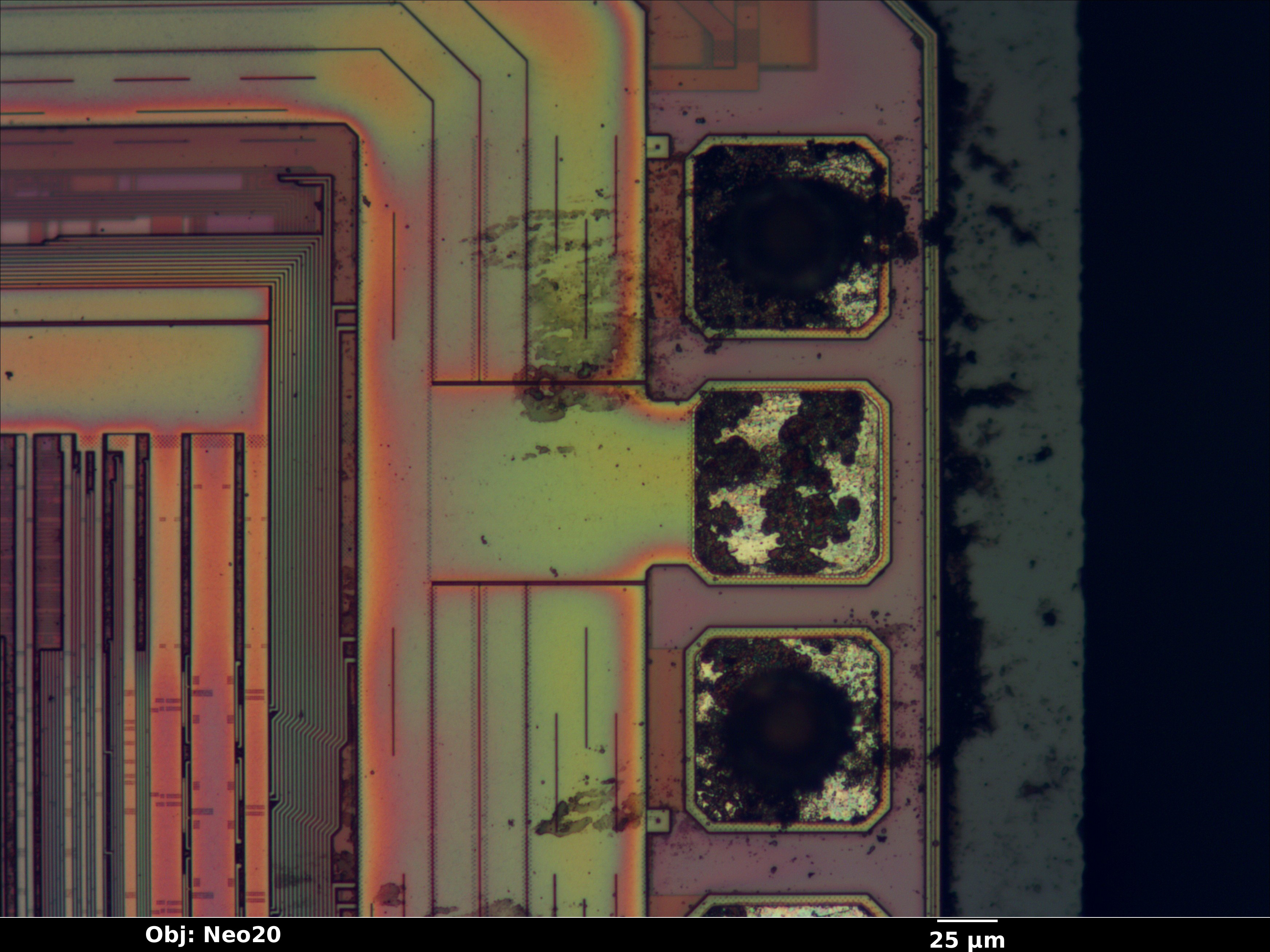 epm3064a_05_bf_neo20x_annotated.jpg epm3064a_05_bf_neo20x_annotated.jpg