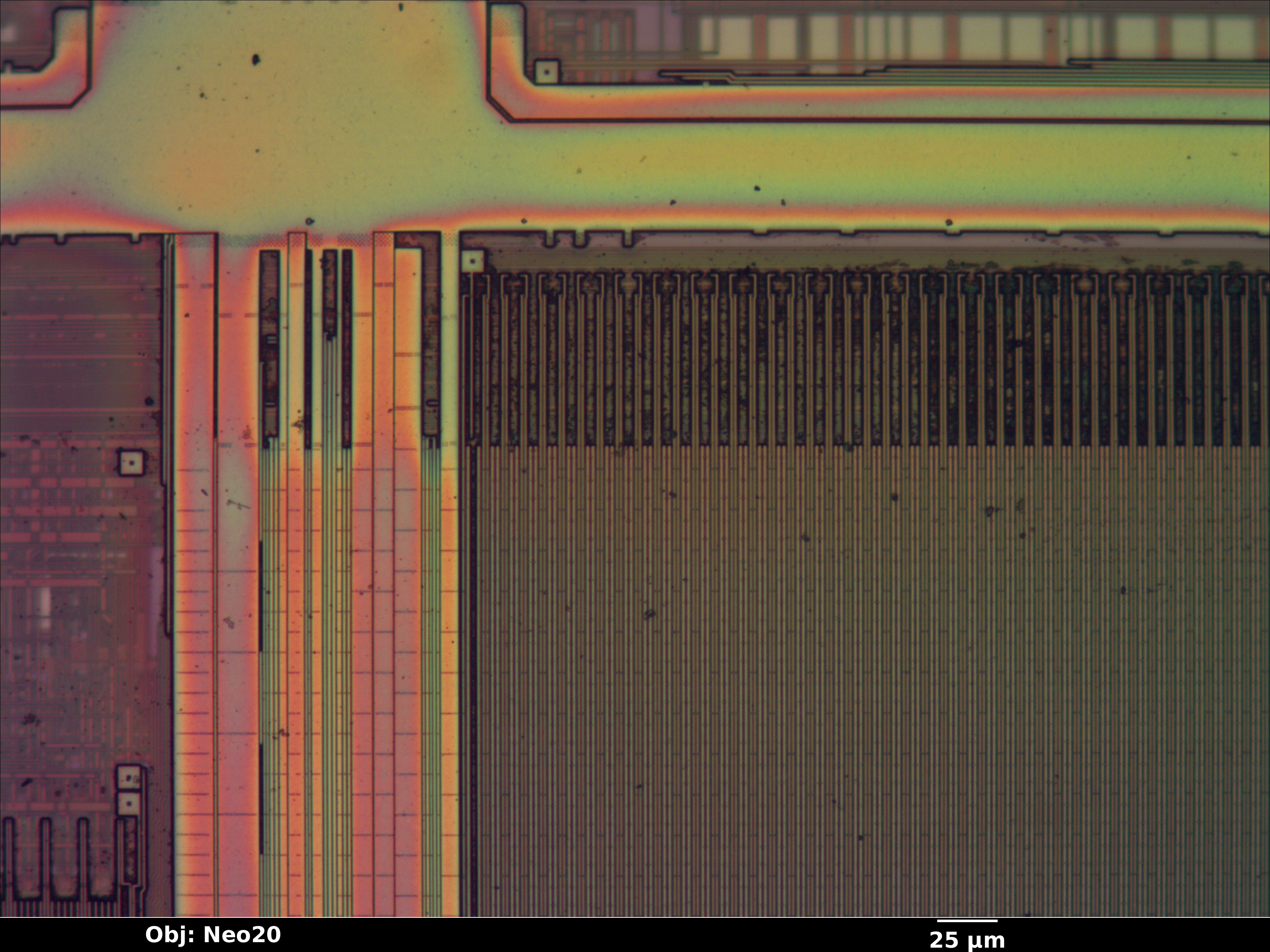 epm3064a_06_bf_neo20x_annotated.jpg epm3064a_06_bf_neo20x_annotated.jpg