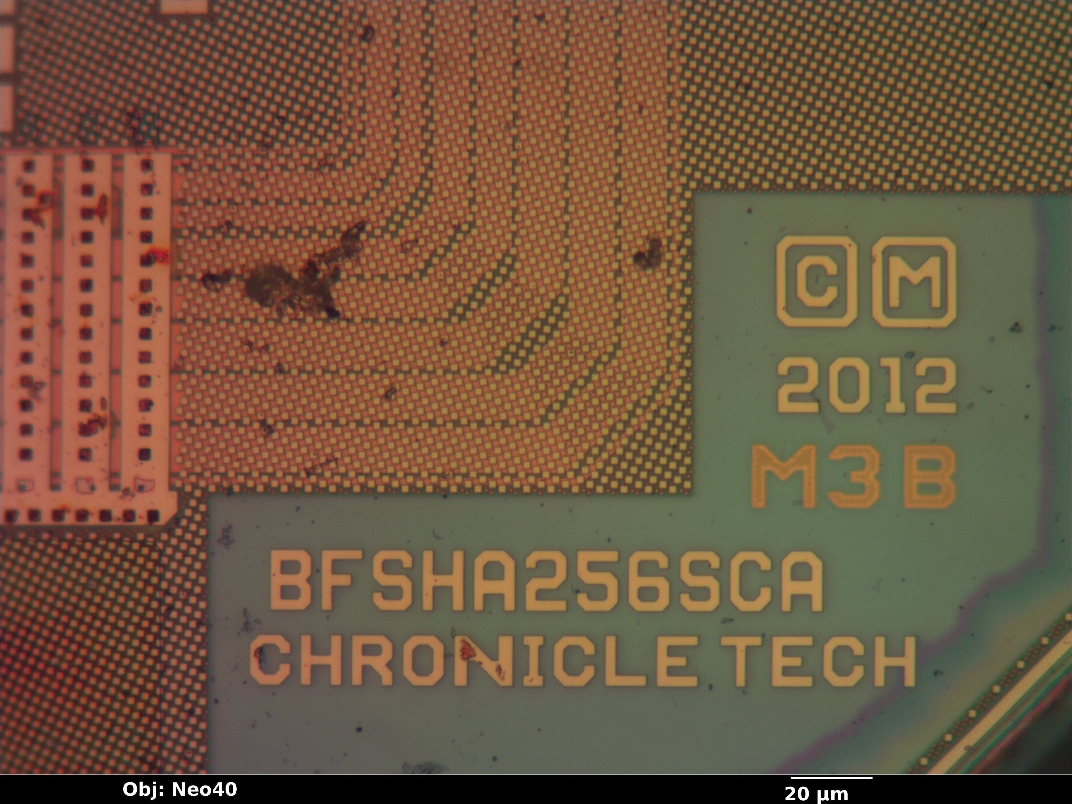bfsc100f144_my_05_bf_neo40x_annotated.jpg bfsc100f144_my_05_bf_neo40x_annotated.jpg