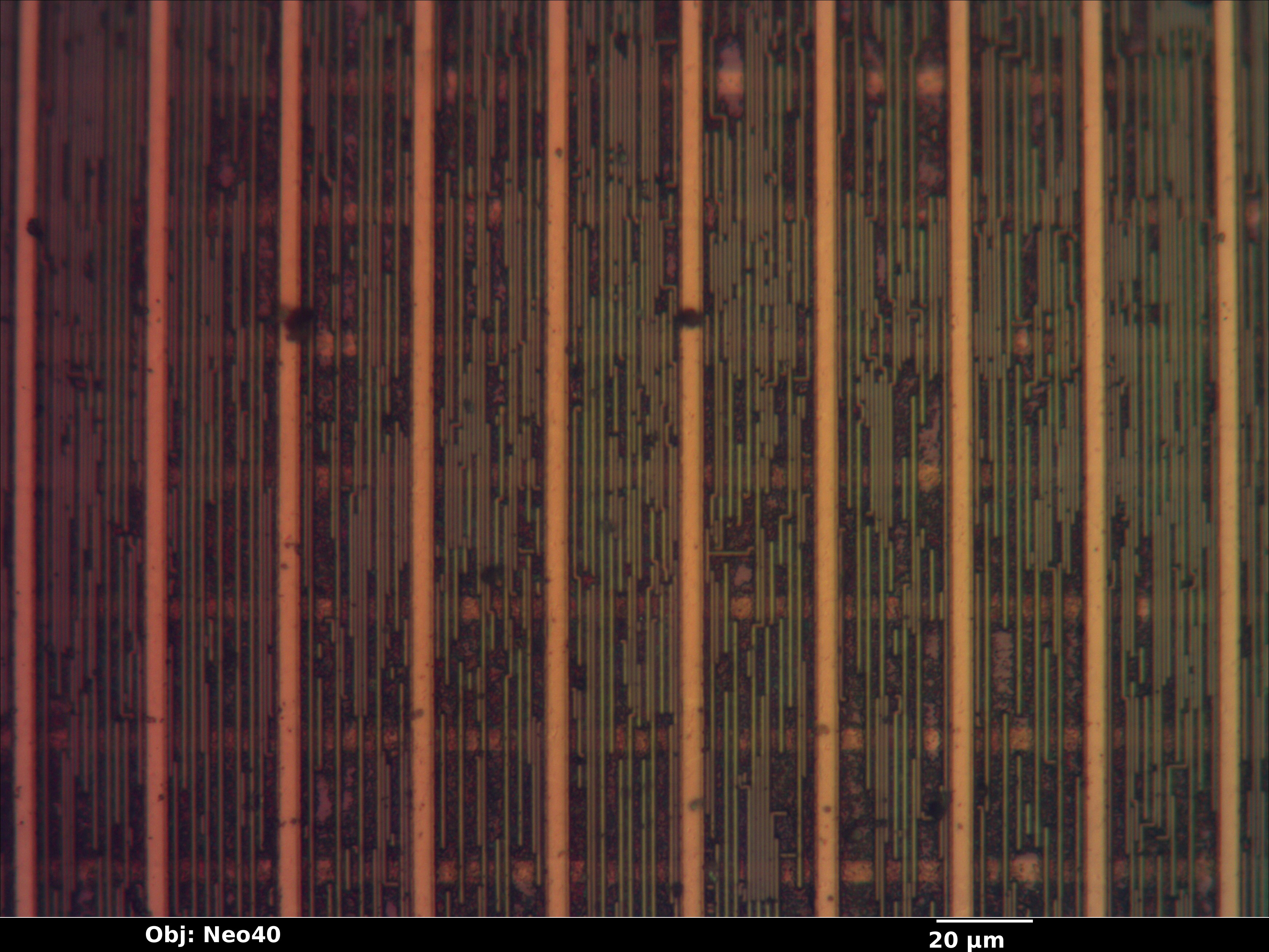 ksz9021rn_07_bf_neo40x_annotated.jpg ksz9021rn_07_bf_neo40x_annotated.jpg