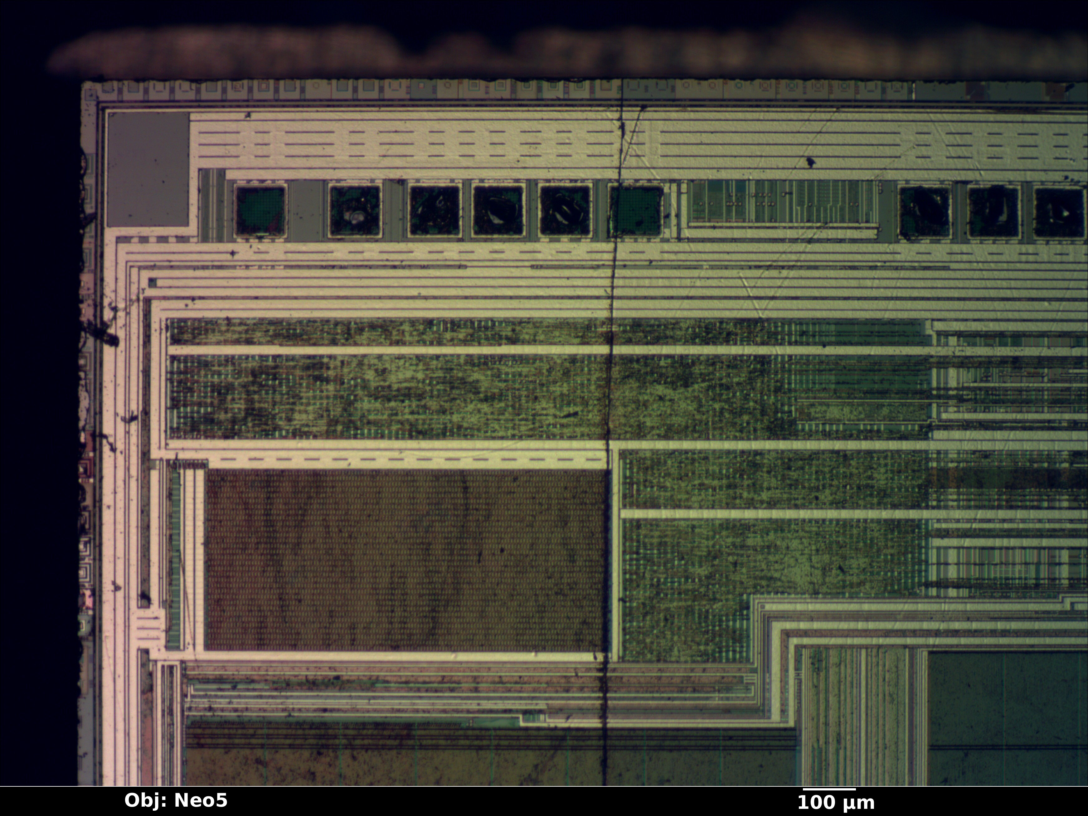 xcf02_05_bf_neo5x_annotated.jpg xcf02_05_bf_neo5x_annotated.jpg