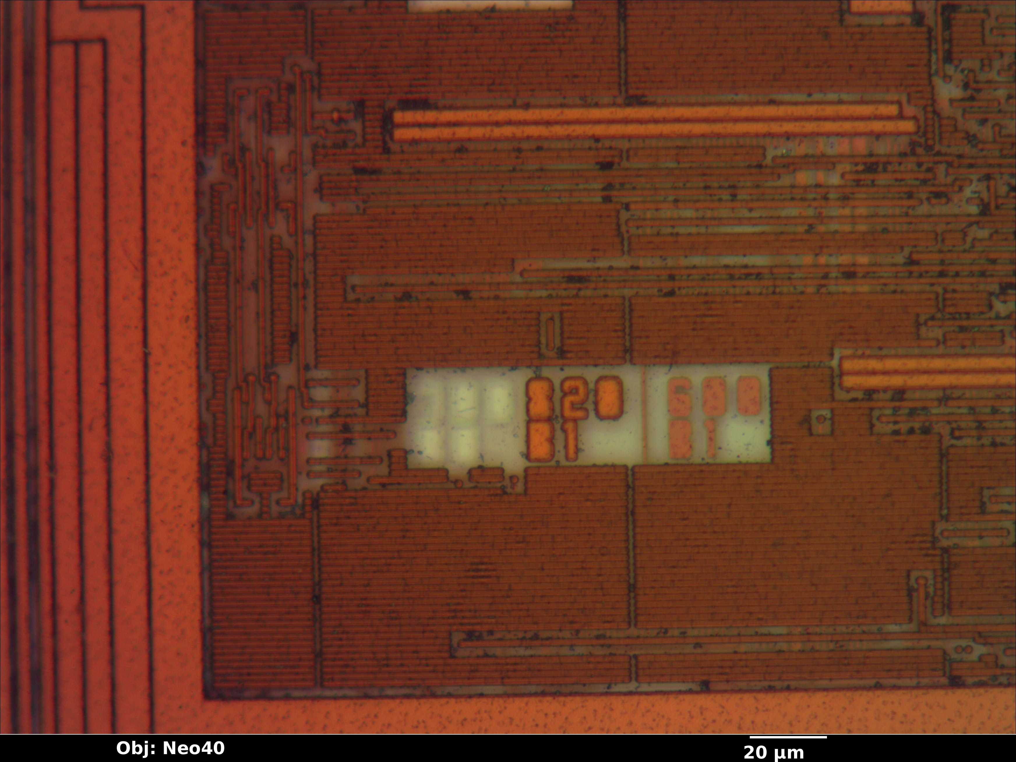 pic12f683_m3_15_bf_neo40x_annotated.jpg pic12f683_m3_15_bf_neo40x_annotated.jpg