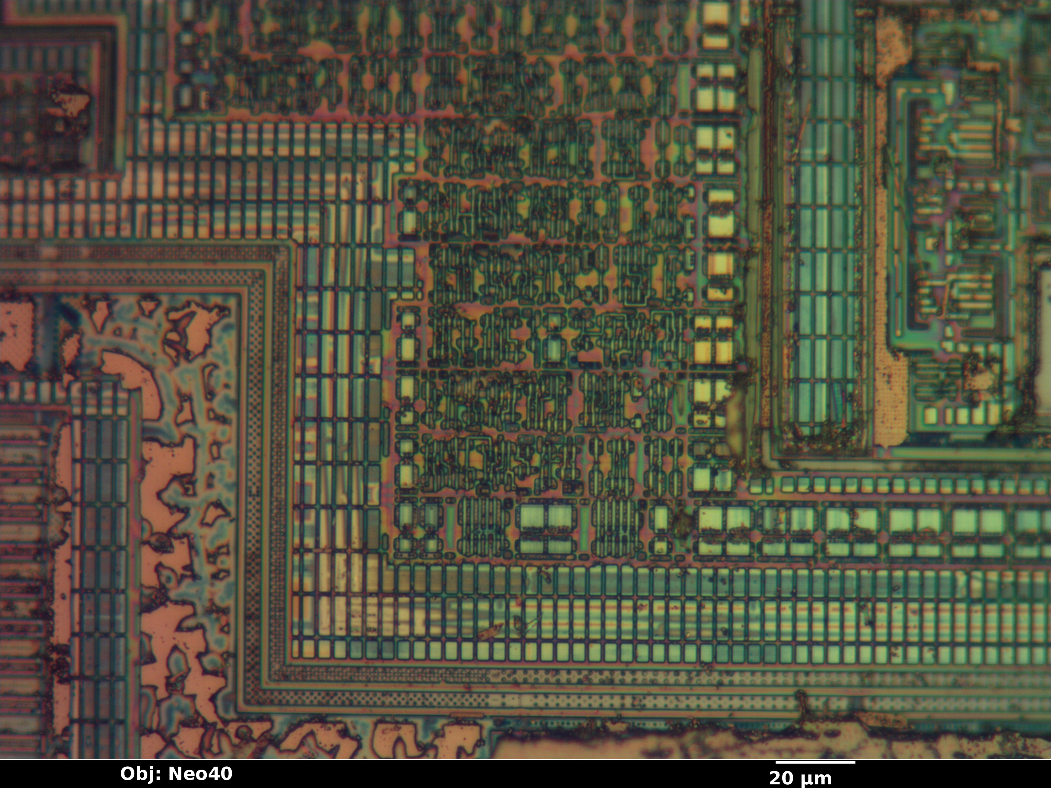 pic12f683_poly_02_bf_neo40x_annotated.jpg pic12f683_poly_02_bf_neo40x_annotated.jpg