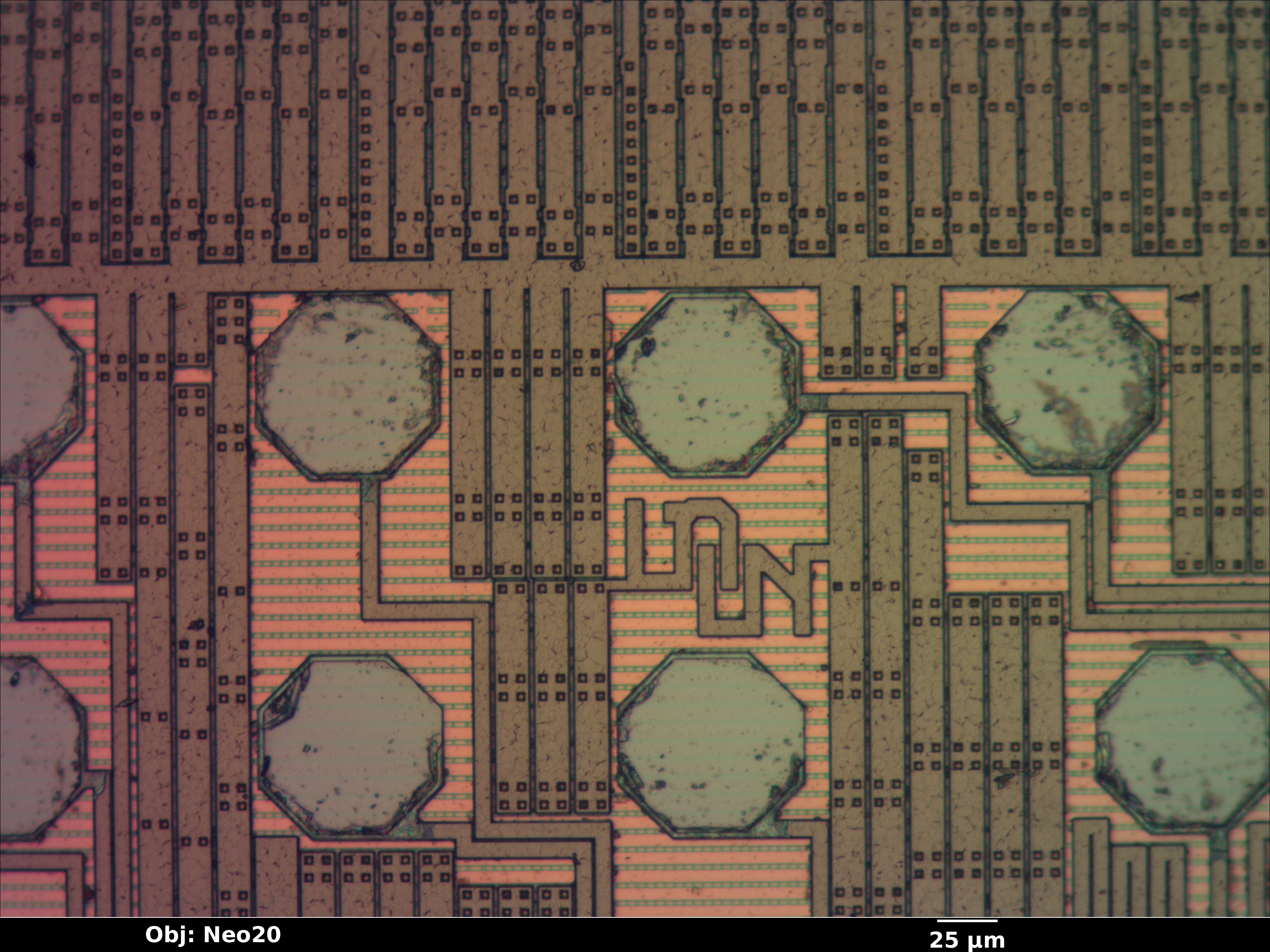 xc3s50a_07_bf_neo20x_annotated.jpg xc3s50a_07_bf_neo20x_annotated.jpg