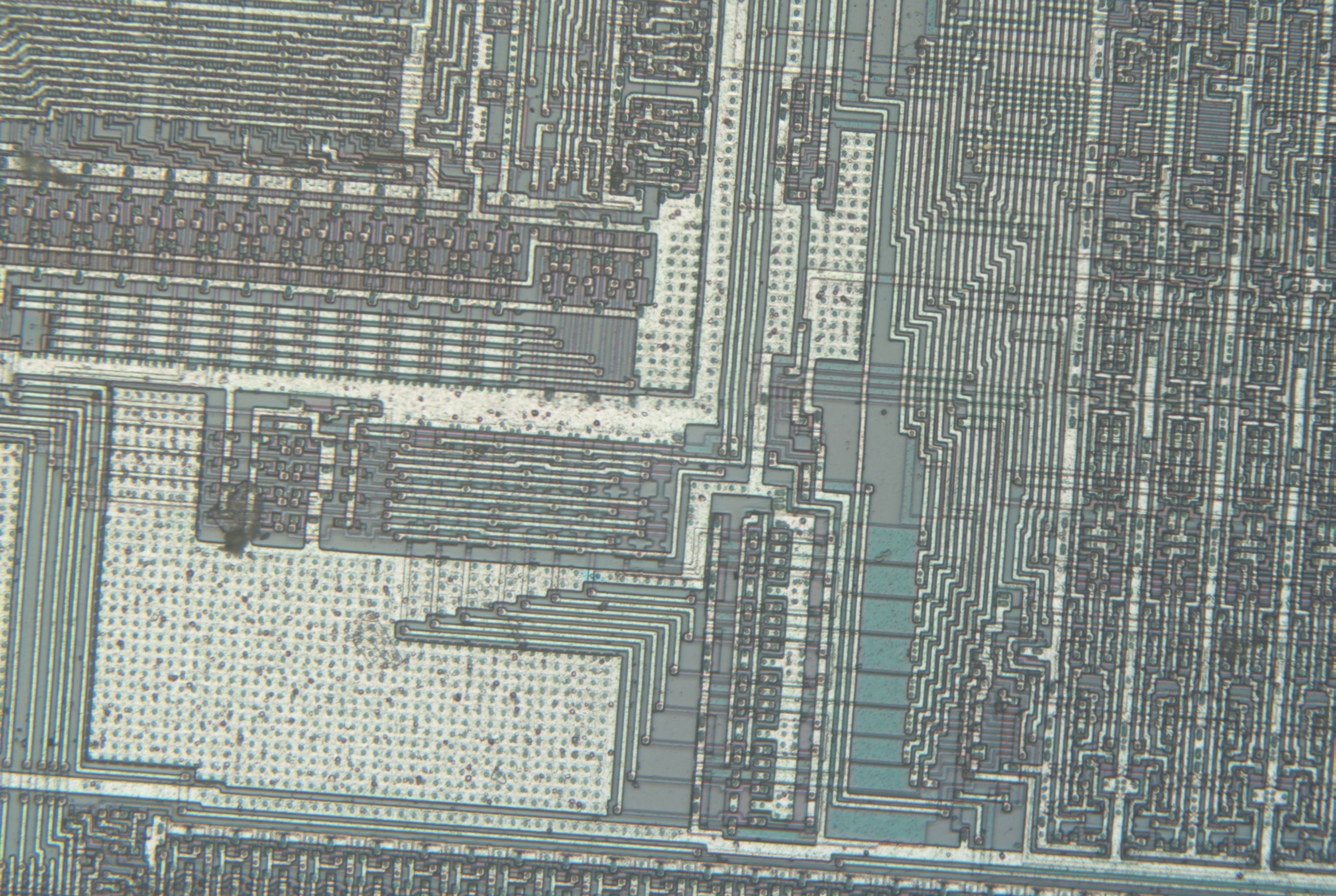 33_20x.jpg 33_20x.jpg