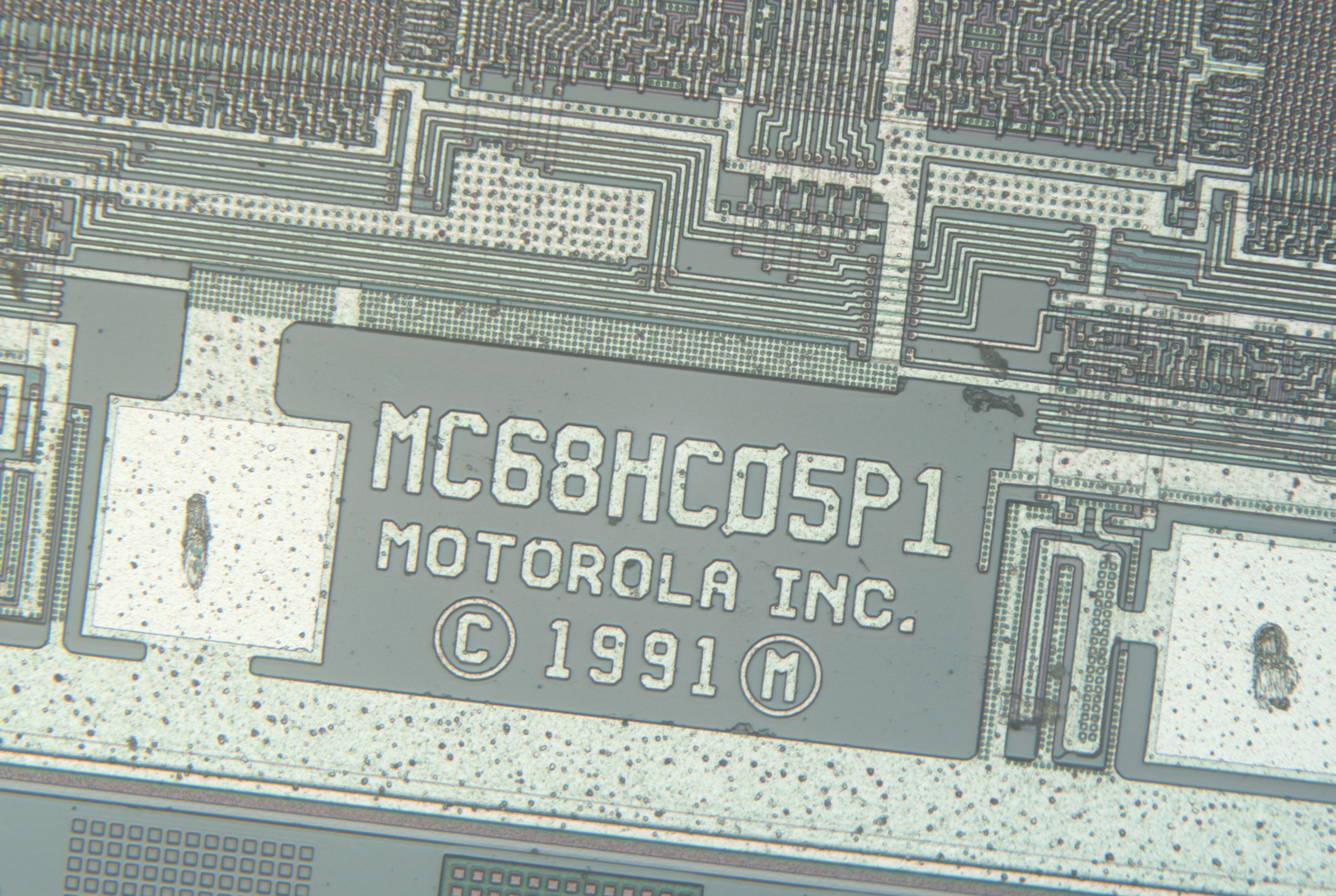 37_20x.jpg 37_20x.jpg