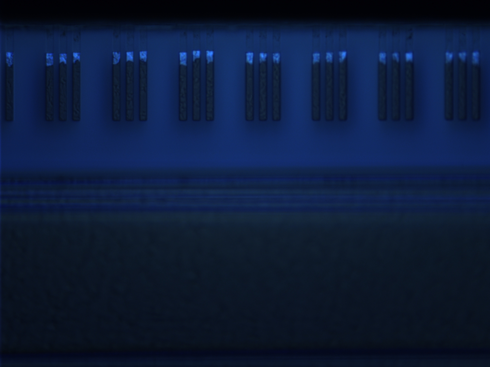 iphone-ram-100x-02.jpg iphone-ram-100x-02.jpg