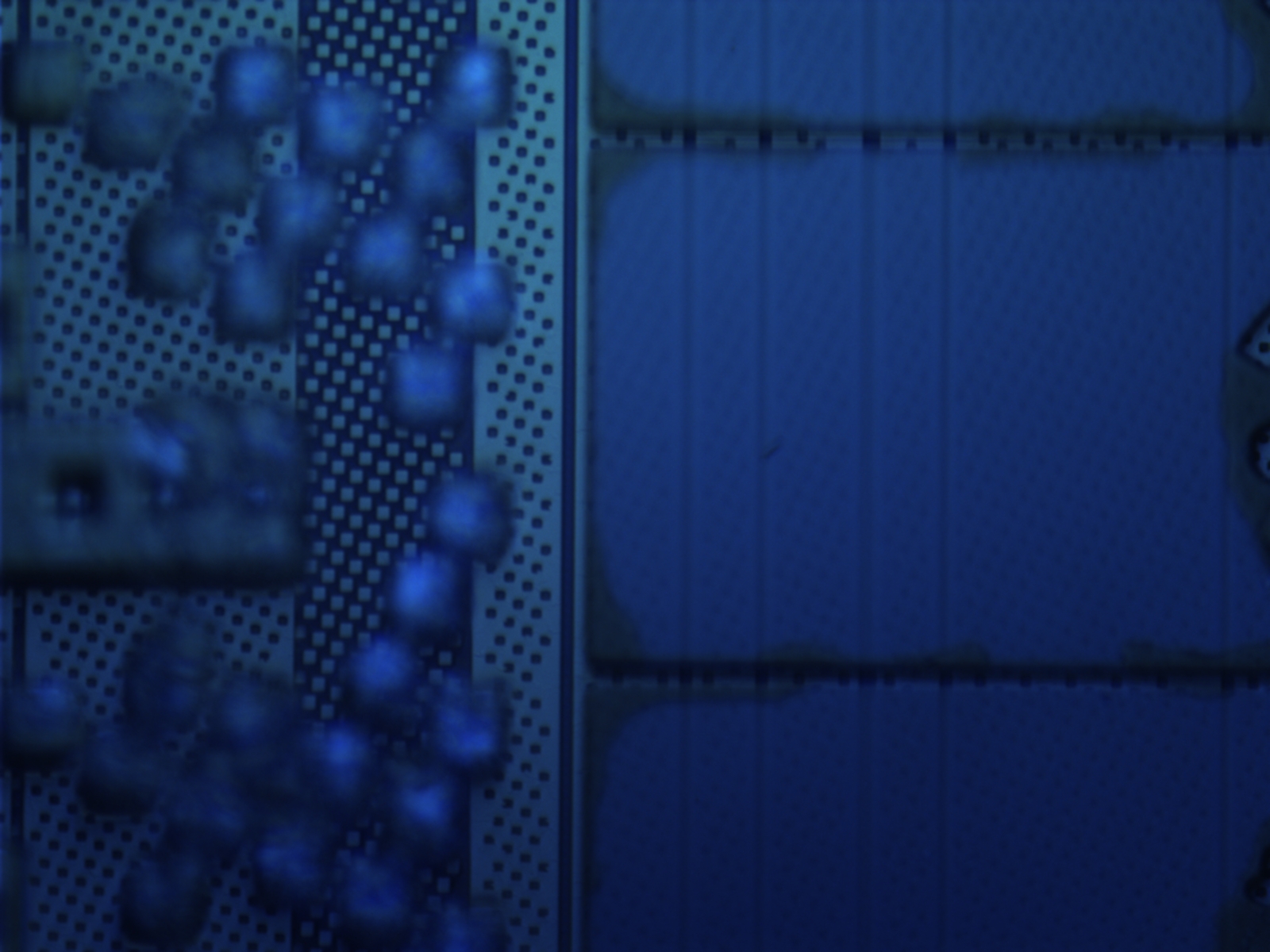 iphone-cpu-100x-05.jpg iphone-cpu-100x-05.jpg