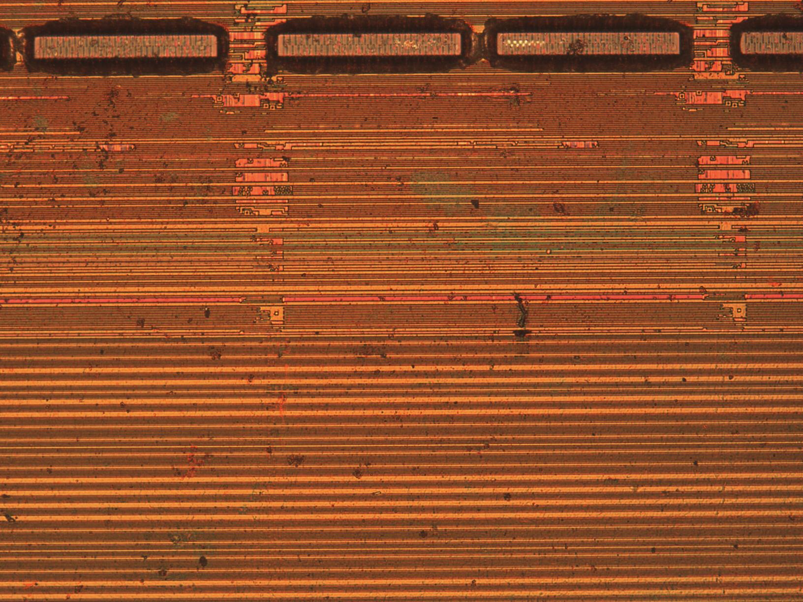 sample_mit20x.jpg sample_mit20x.jpg