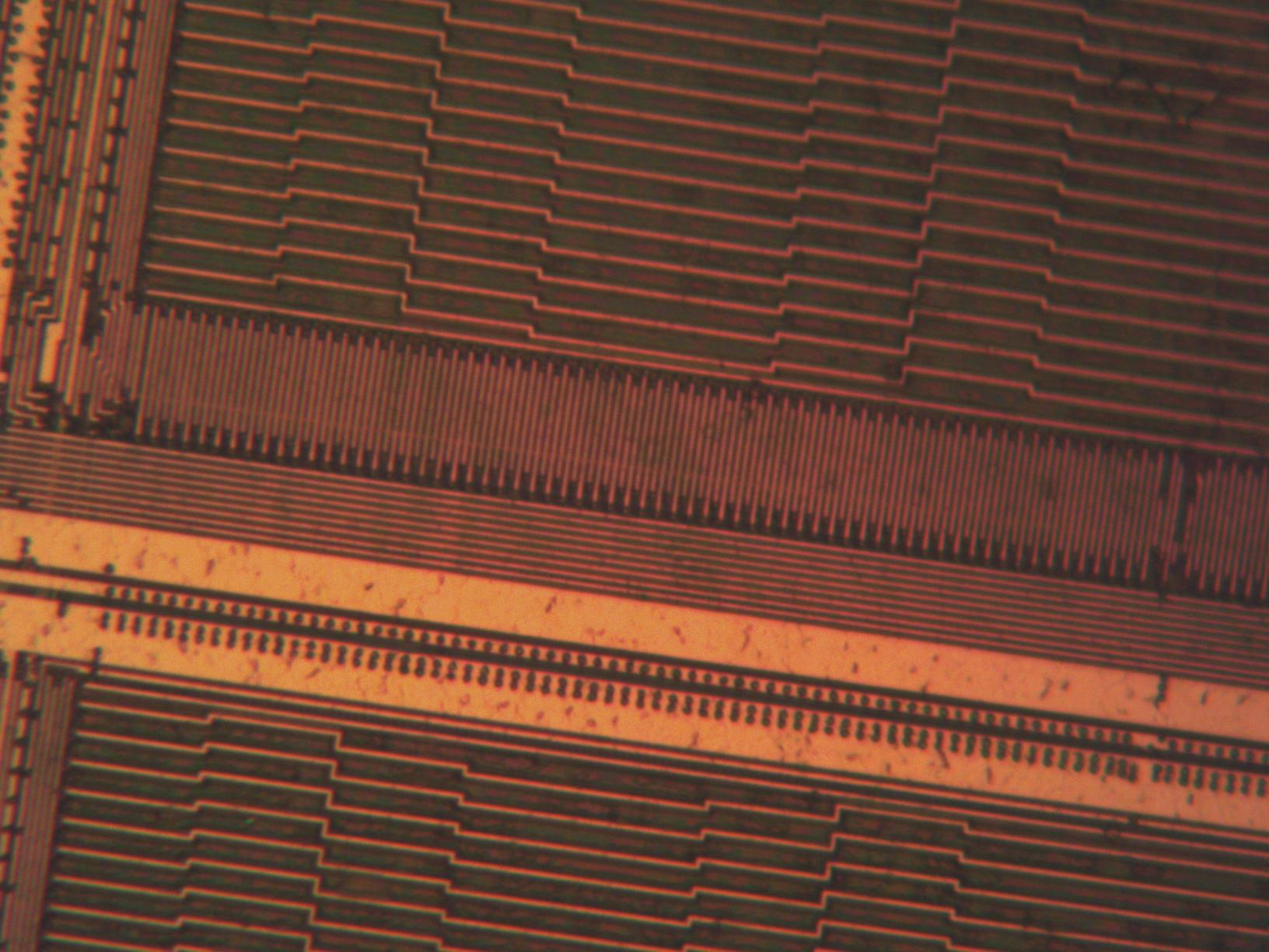 sample_ns50xu.jpg sample_ns50xu.jpg