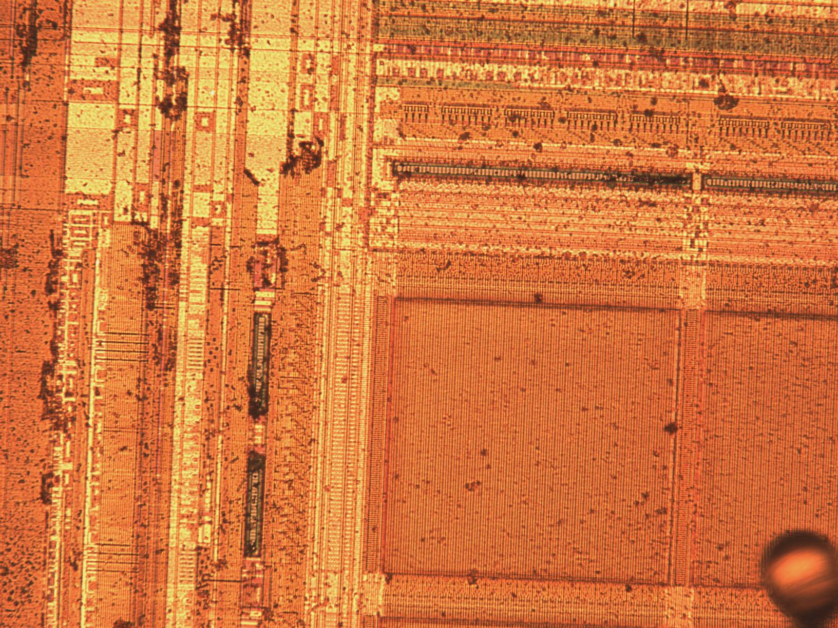 sample_mit20x.jpg sample_mit20x.jpg