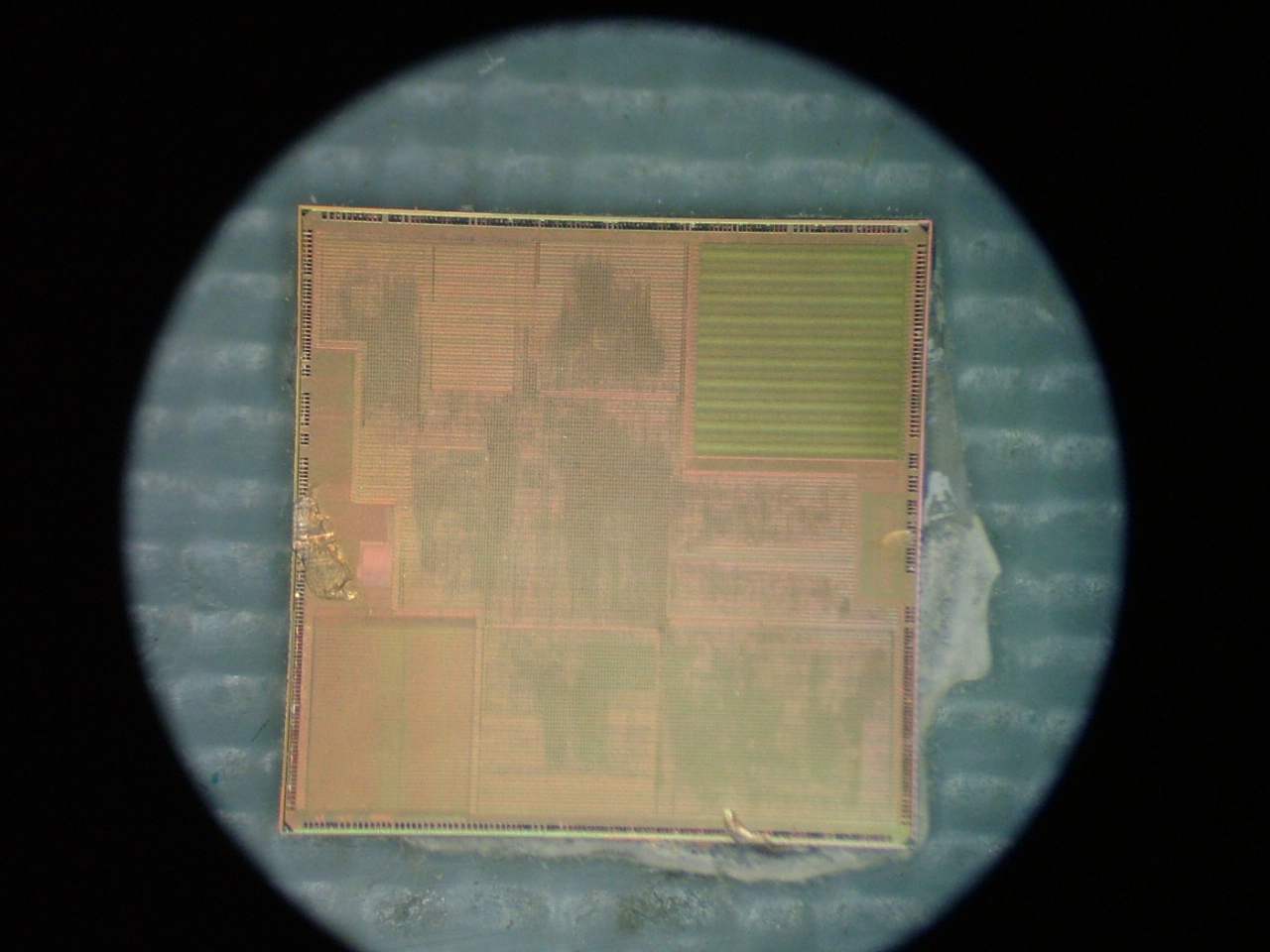 iphone-arm.jpg iphone-arm.jpg