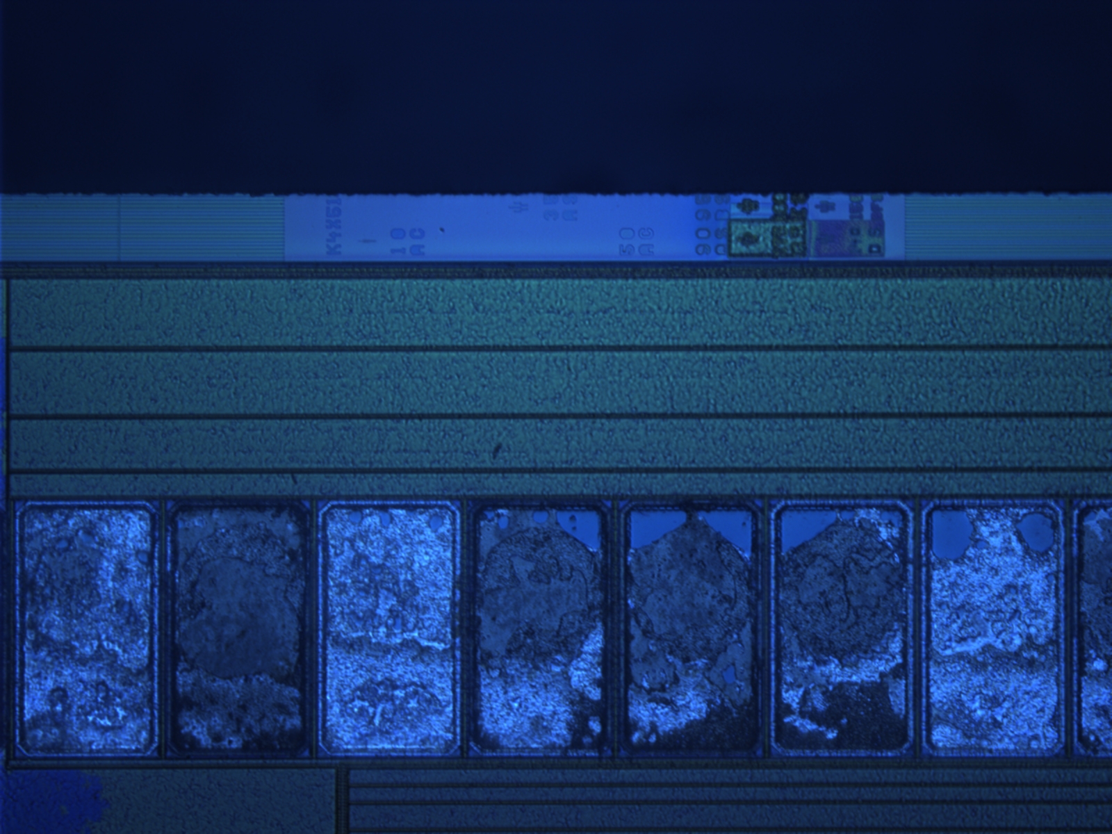 iphone-ram-20x-01.jpg iphone-ram-20x-01.jpg