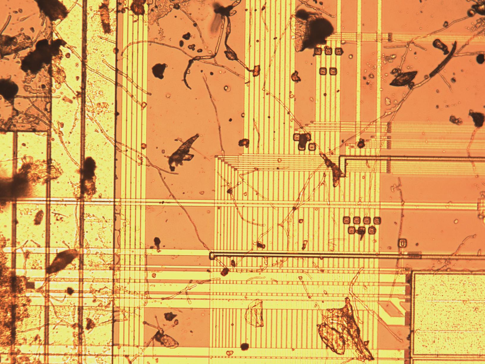 sample3_mit20x.jpg sample3_mit20x.jpg