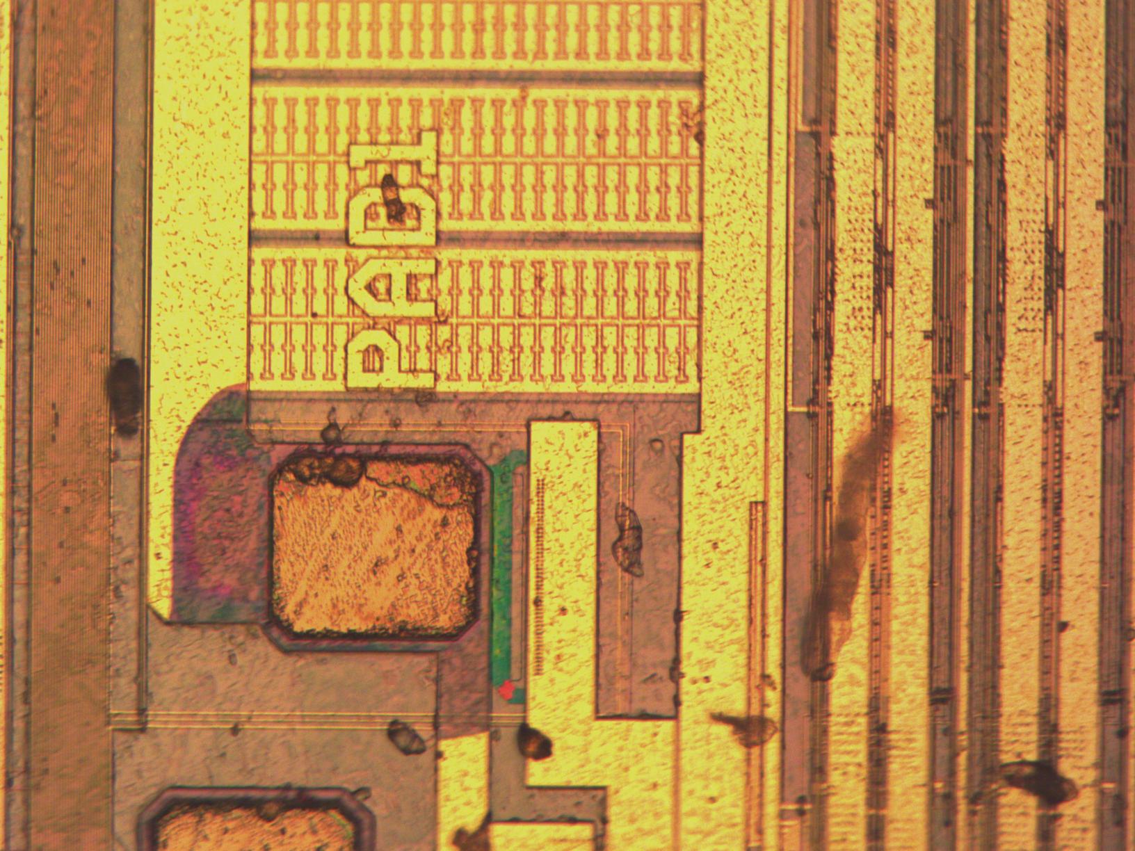 pad1_mit20x.jpg pad1_mit20x.jpg