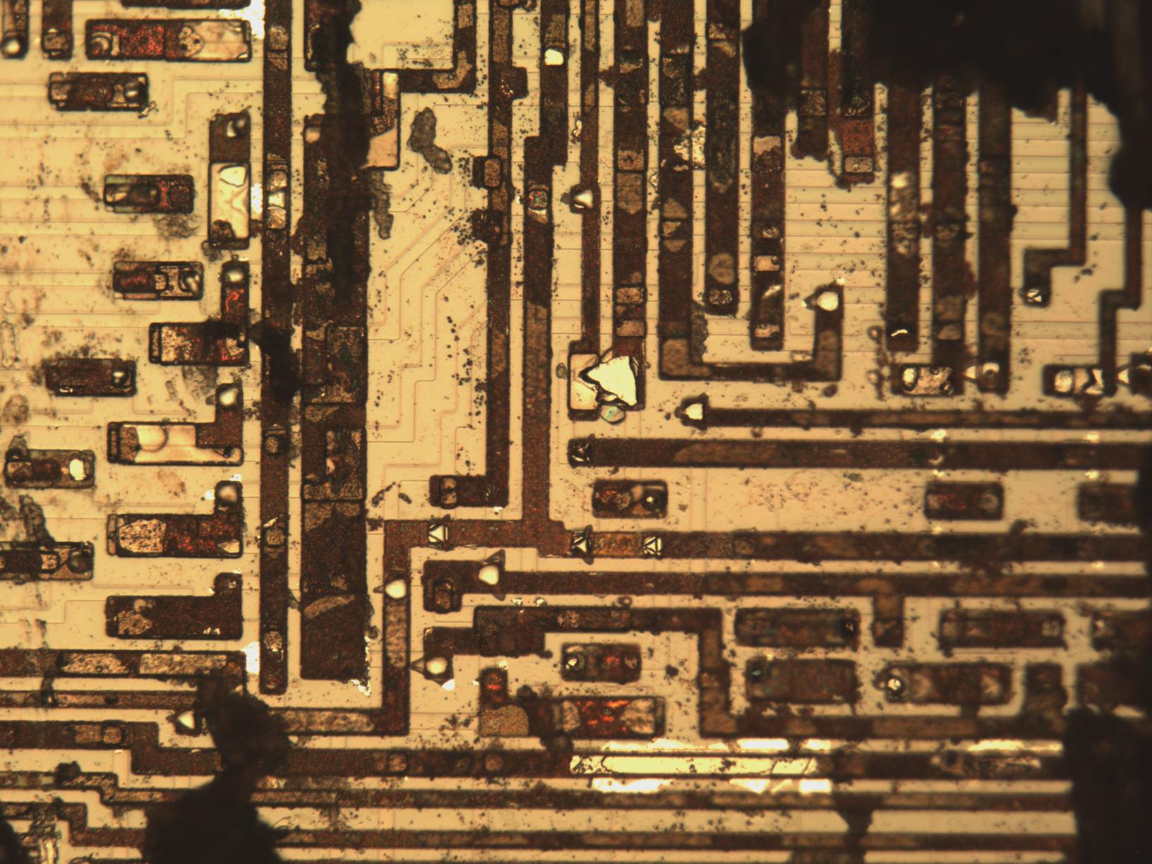 shard1_sample_mit20x.jpg shard1_sample_mit20x.jpg