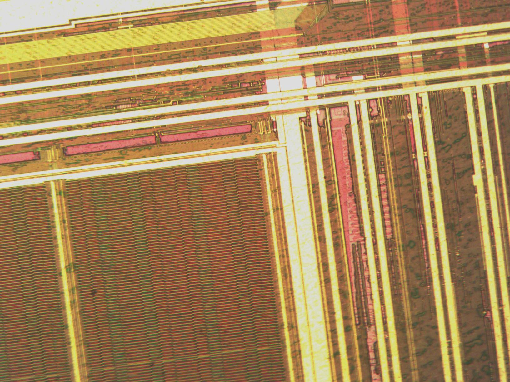 sample_mit20x.jpg sample_mit20x.jpg