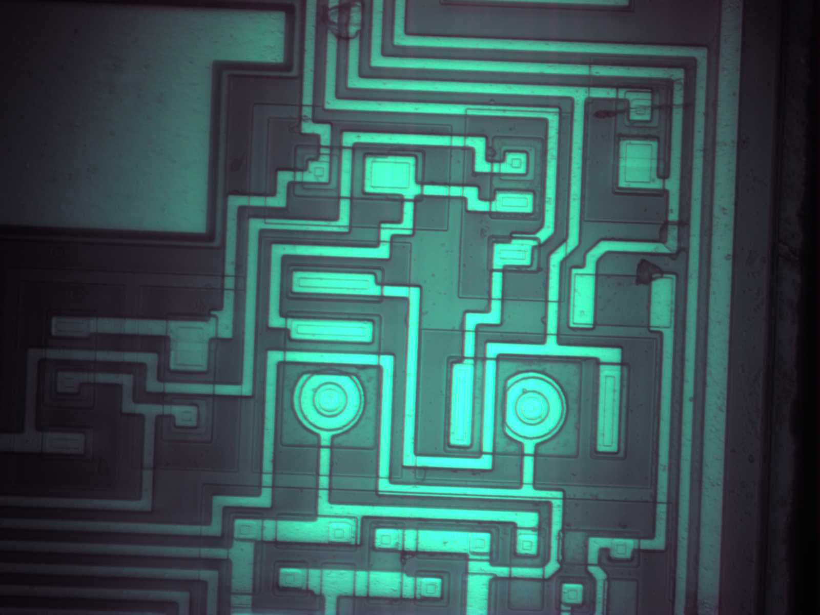 amp03-20x.jpg amp03-20x.jpg