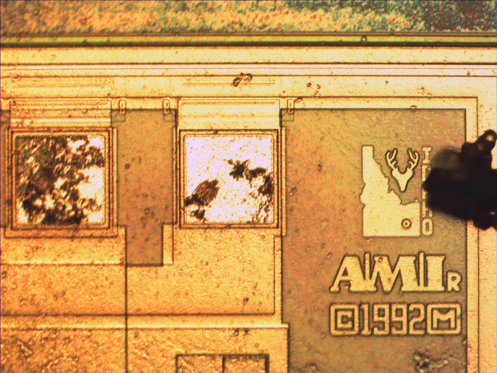 logo_mit20x.jpg logo_mit20x.jpg