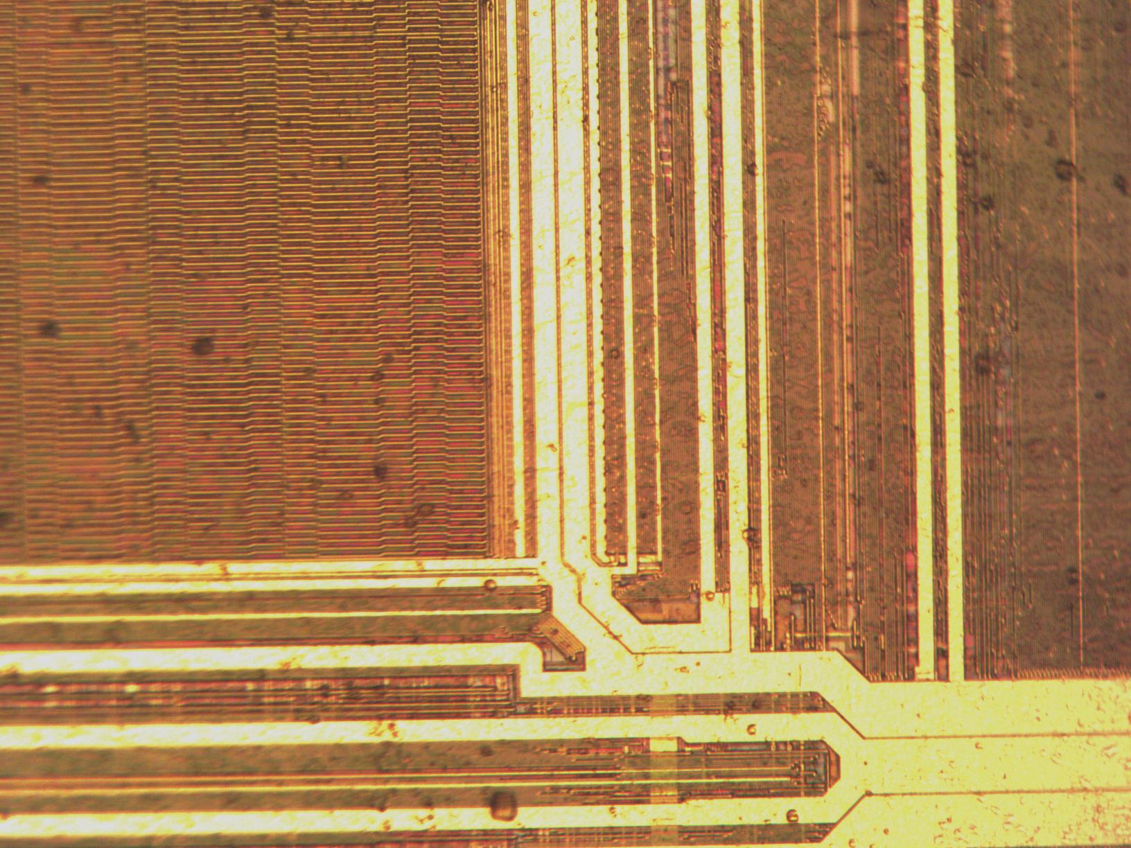 sample_mit20x.jpg sample_mit20x.jpg