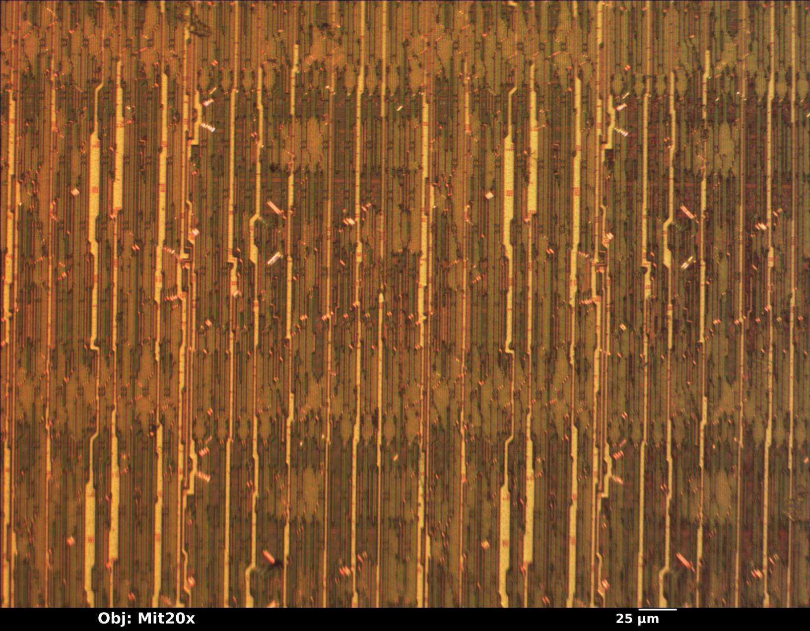 sample_mit20x.jpg sample_mit20x.jpg