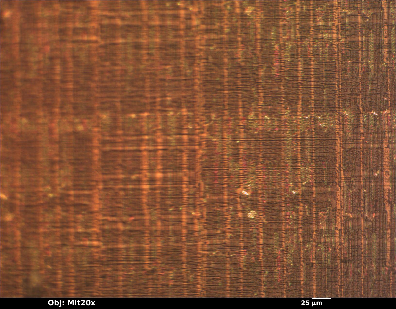 sample_mit20x.jpg sample_mit20x.jpg