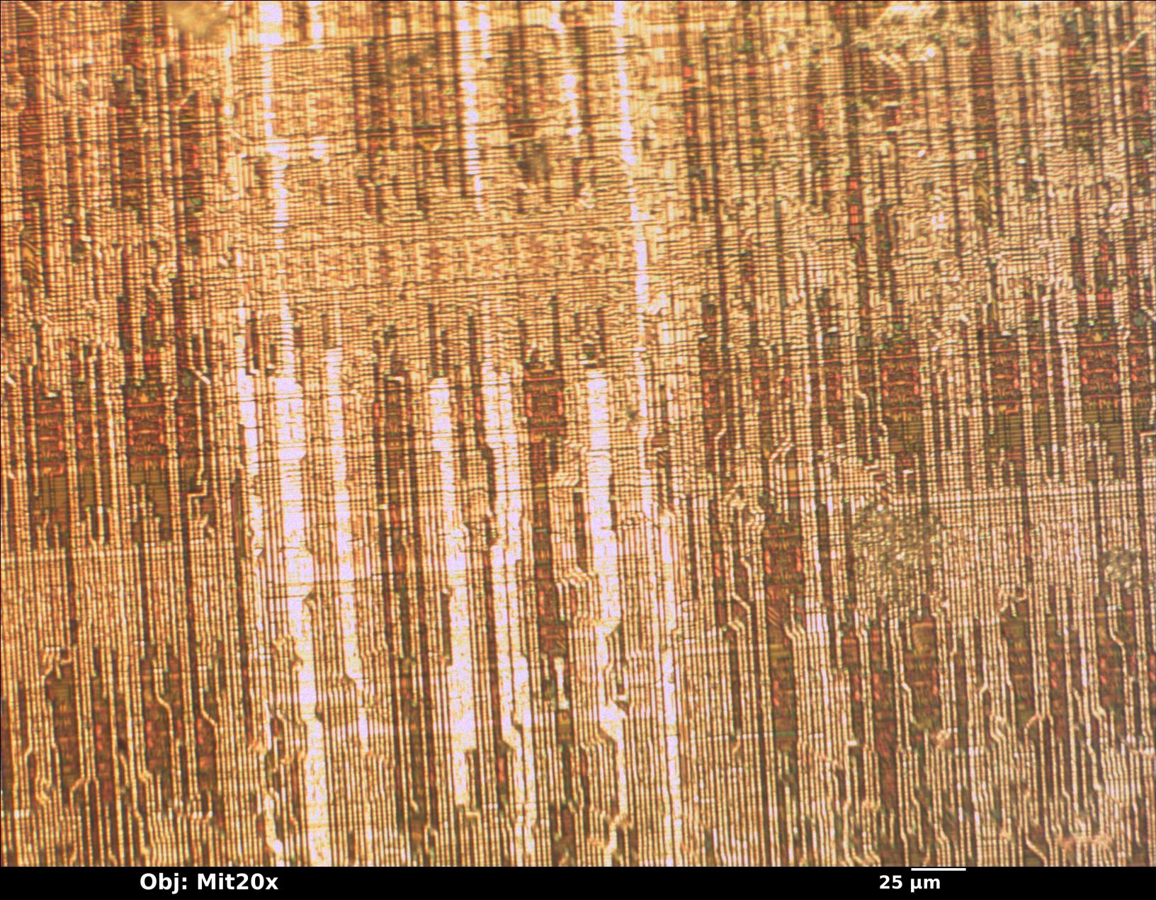 sample_mit20x.jpg sample_mit20x.jpg