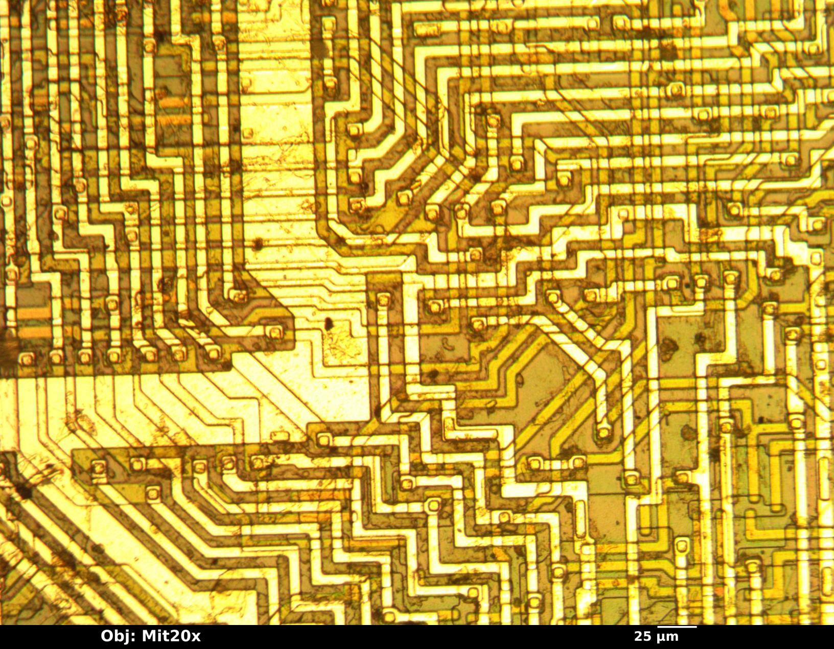 sample_mit20x.jpg sample_mit20x.jpg