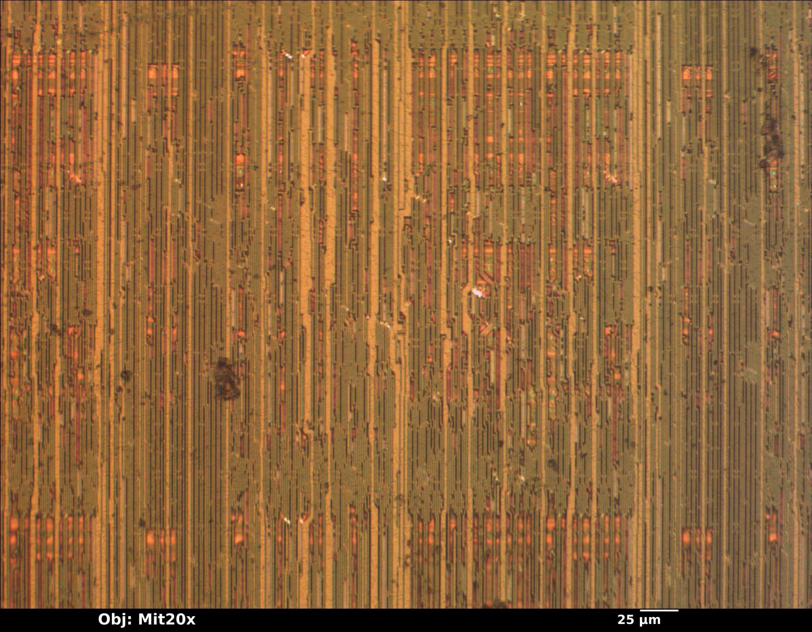 sample_mit20x.jpg sample_mit20x.jpg