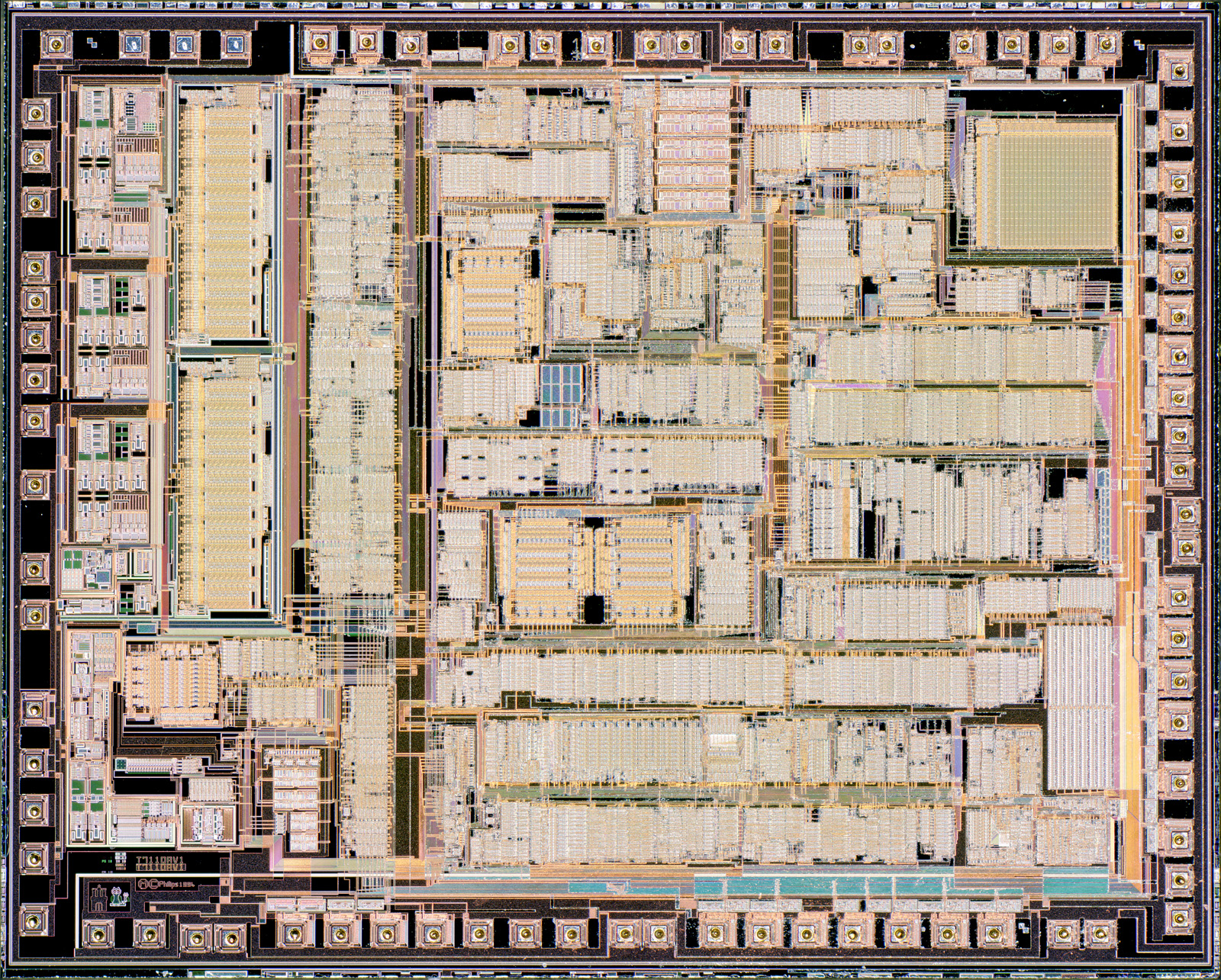 ASCII   Kolor stitching | 20 pictures | Size: 11147 x 9045 | Lens: Standard |... ASCII   Kolor stitching | 20 pictures | Size: 11147 x 9045 | Lens: Standard |...