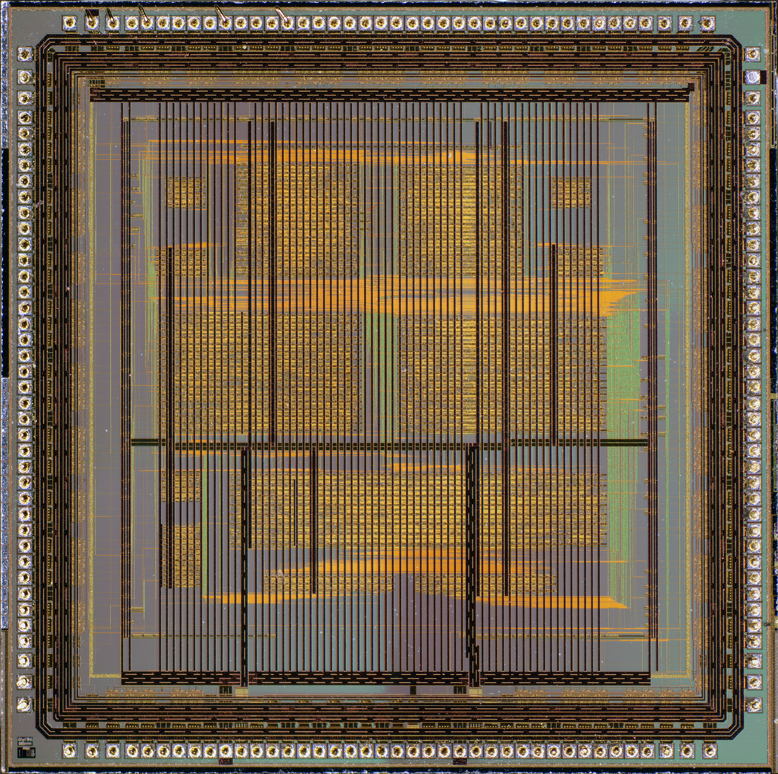 ASCII   Kolor stitching | 12 pictures | Size: 7804 x 7816 | Lens: Standard |... ASCII   Kolor stitching | 12 pictures | Size: 7804 x 7816 | Lens: Standard |...