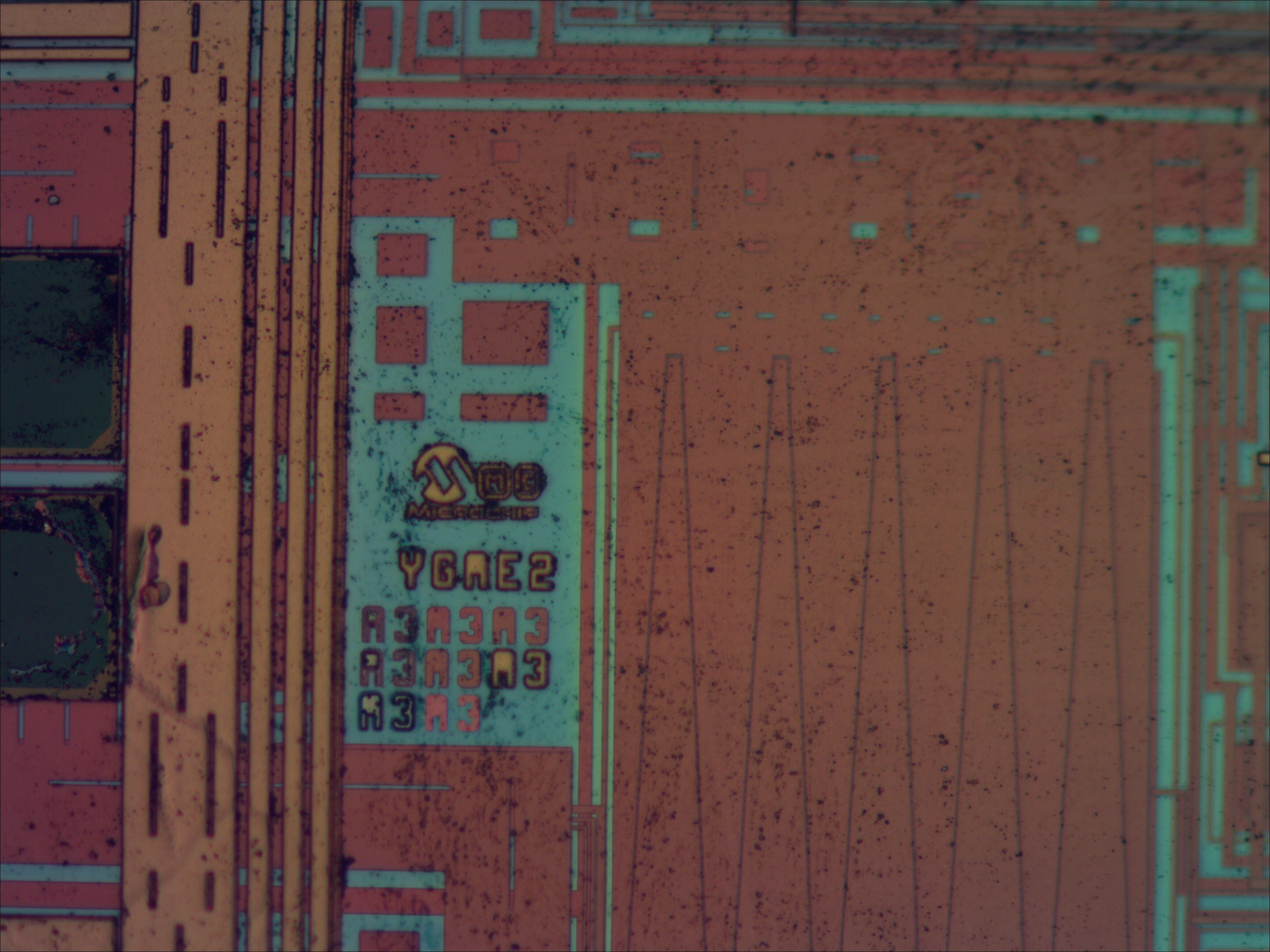 pic18f24j10_01_bf_neo20x.jpg