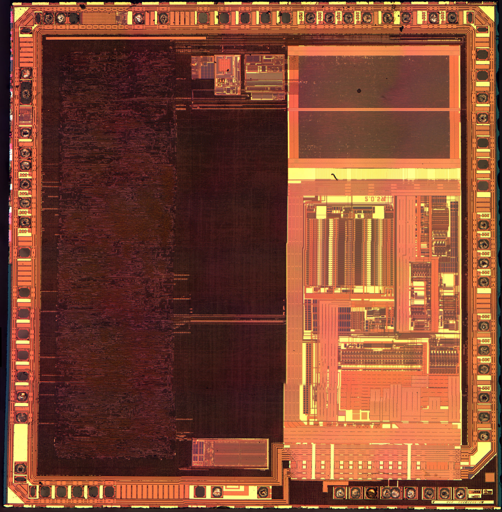 enc424j600-m3-100x-cropped-4k.jpg
