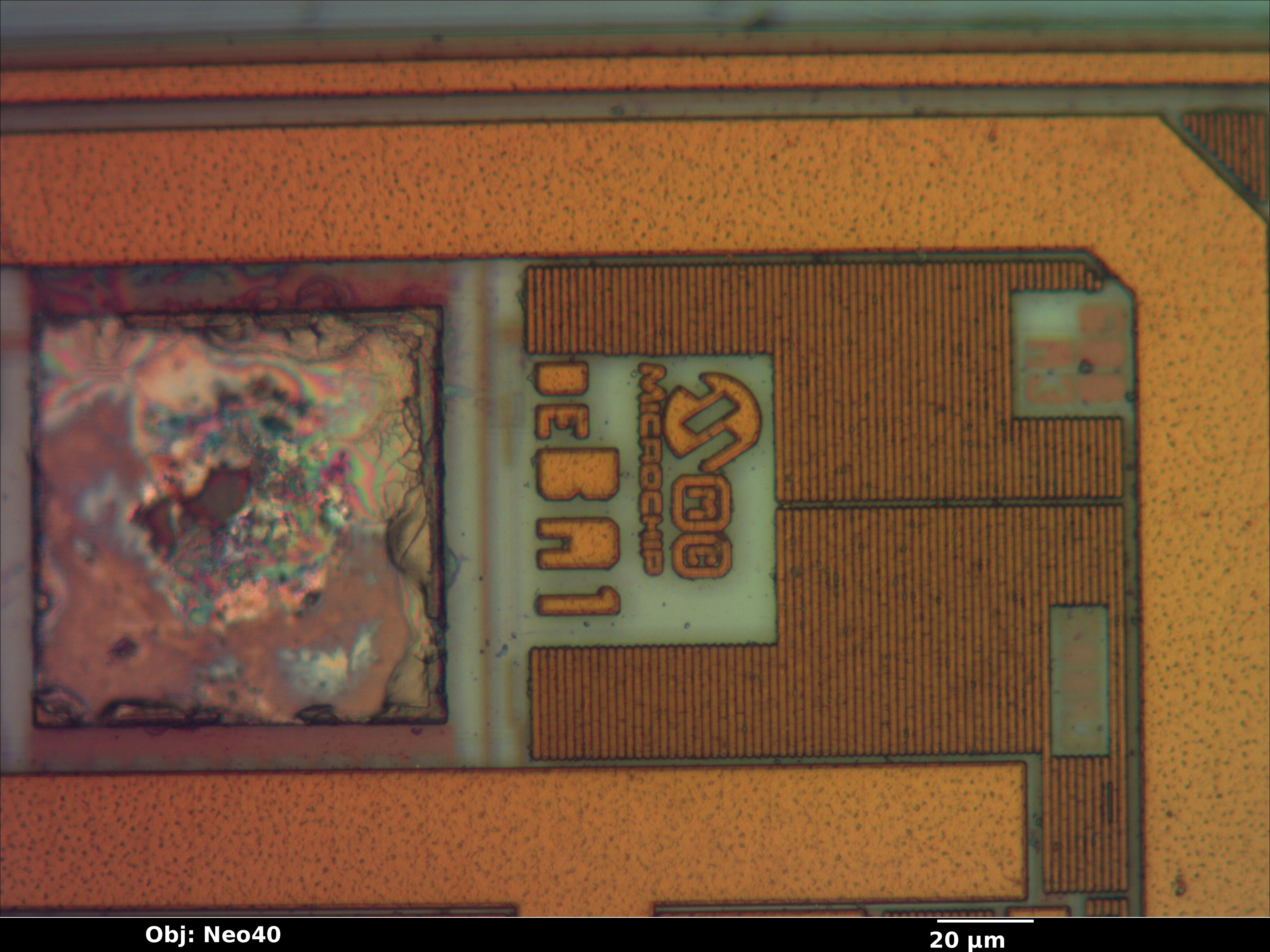 pic10f200_01_bf_neo40x_annotated.jpg