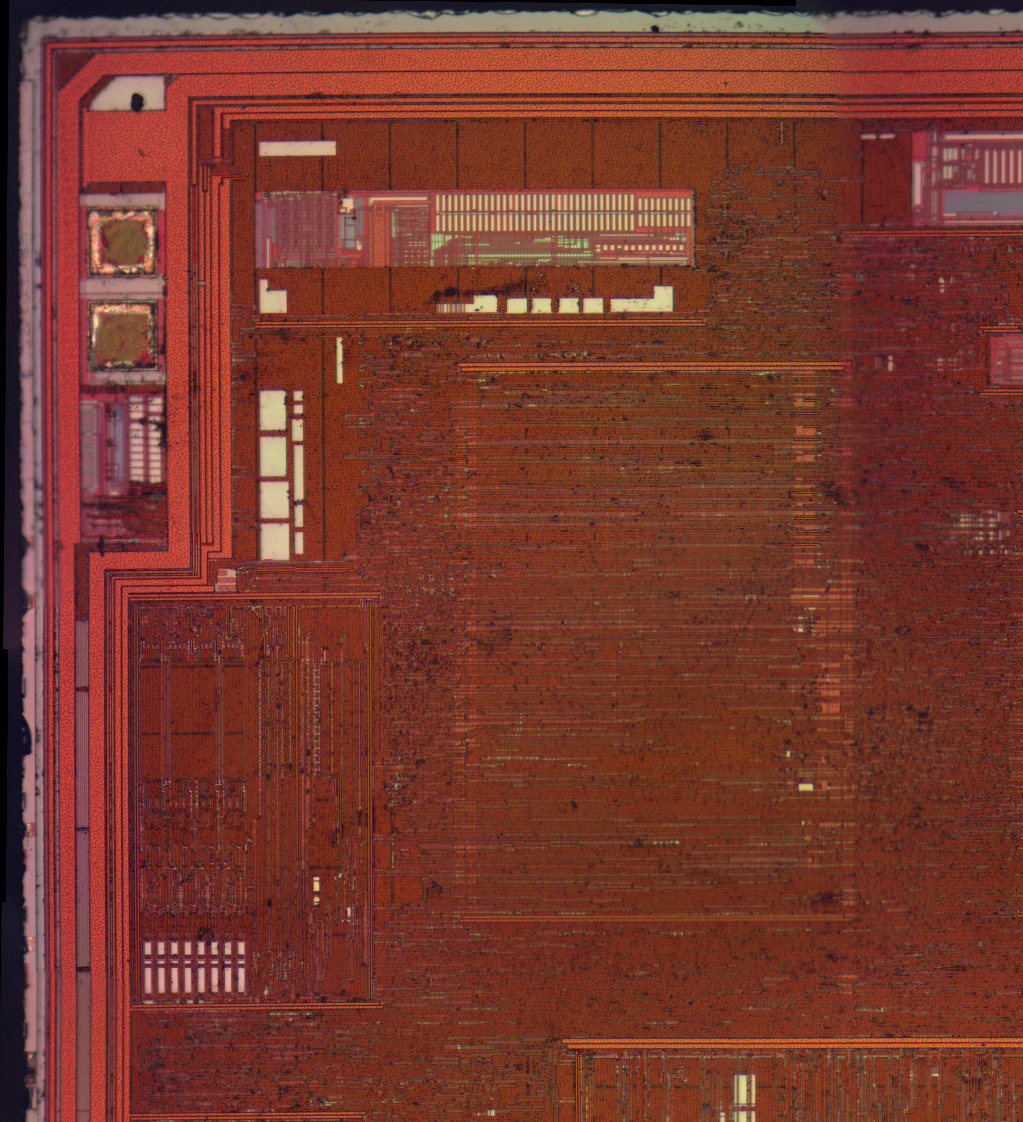 pic12f683_m3_bf_neo10x_small.jpg