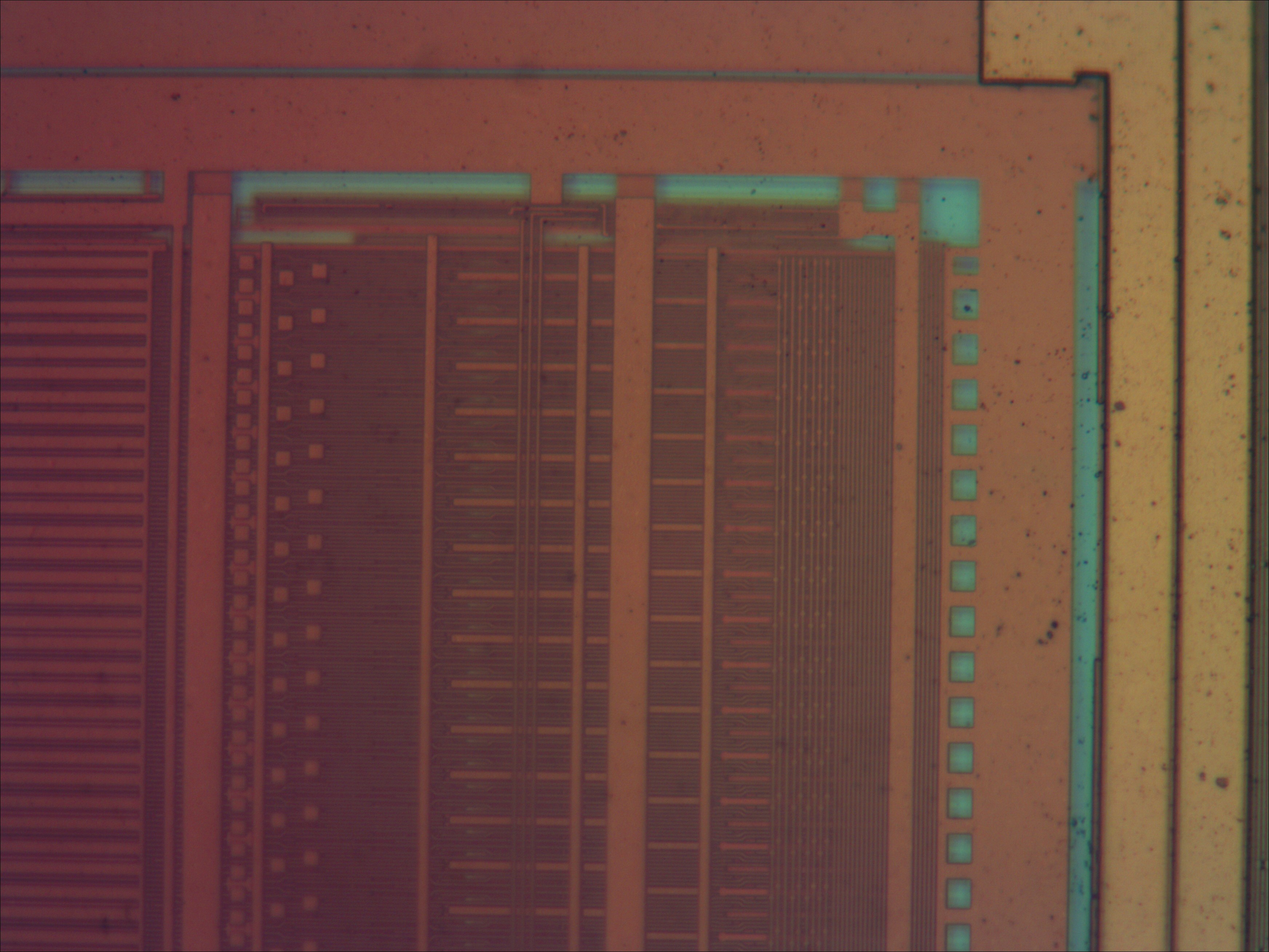 pic18f24j10_06_bf_neo40x.jpg
